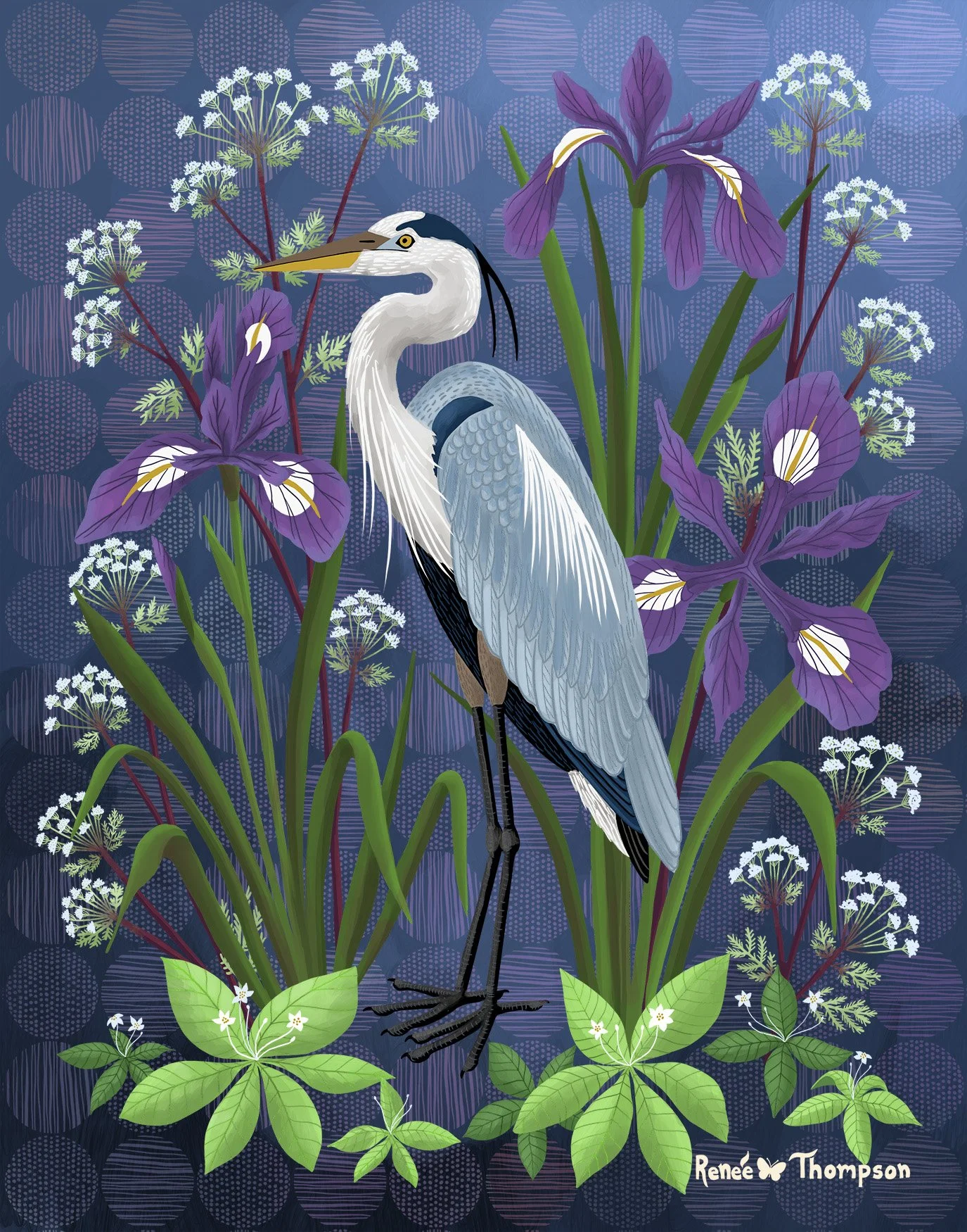 401 Great Blue Heron & Iris.jpg