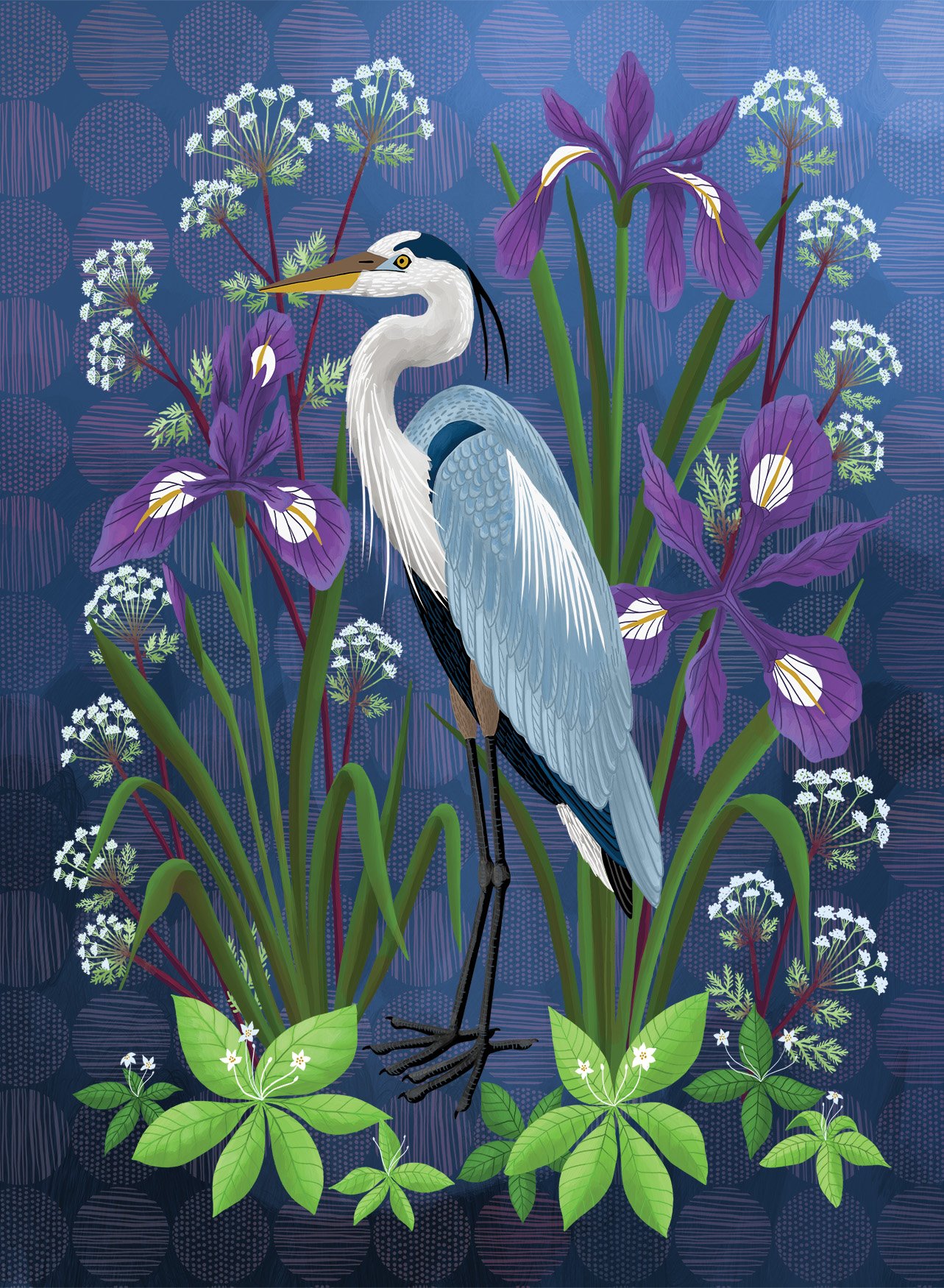 401 Great Blue Heron & Iris