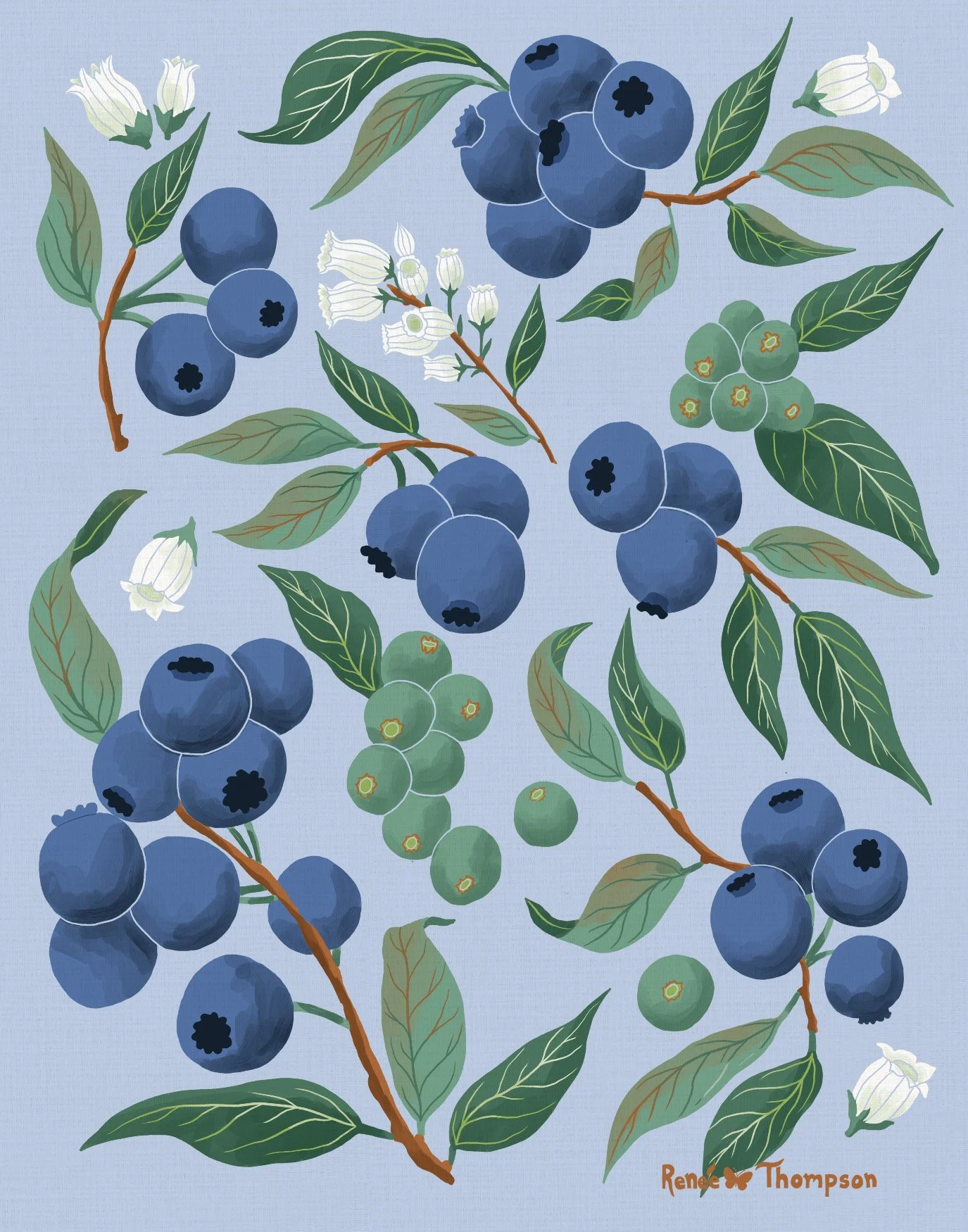 420 Bluberries_sml.jpg