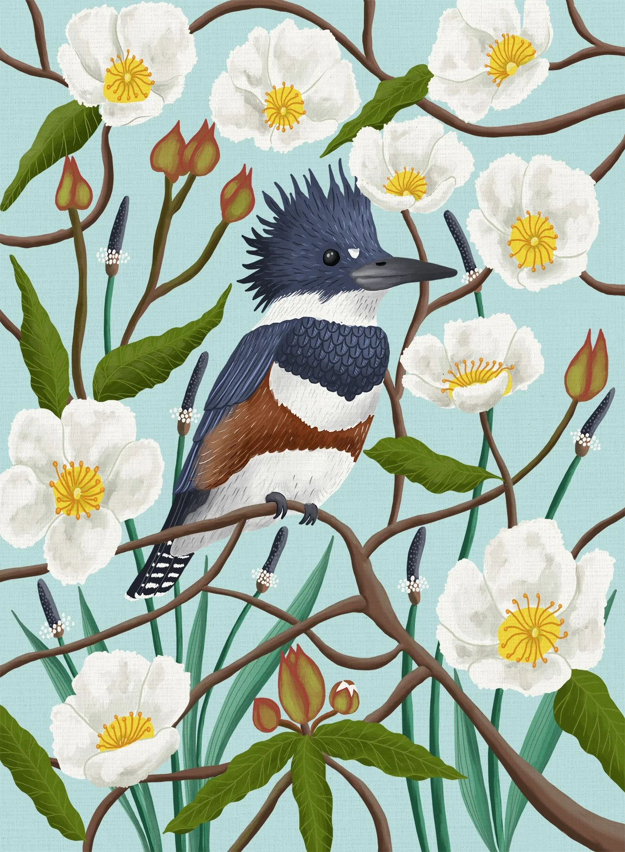 404 King Fisher & Rock Rose_In house card.jpg