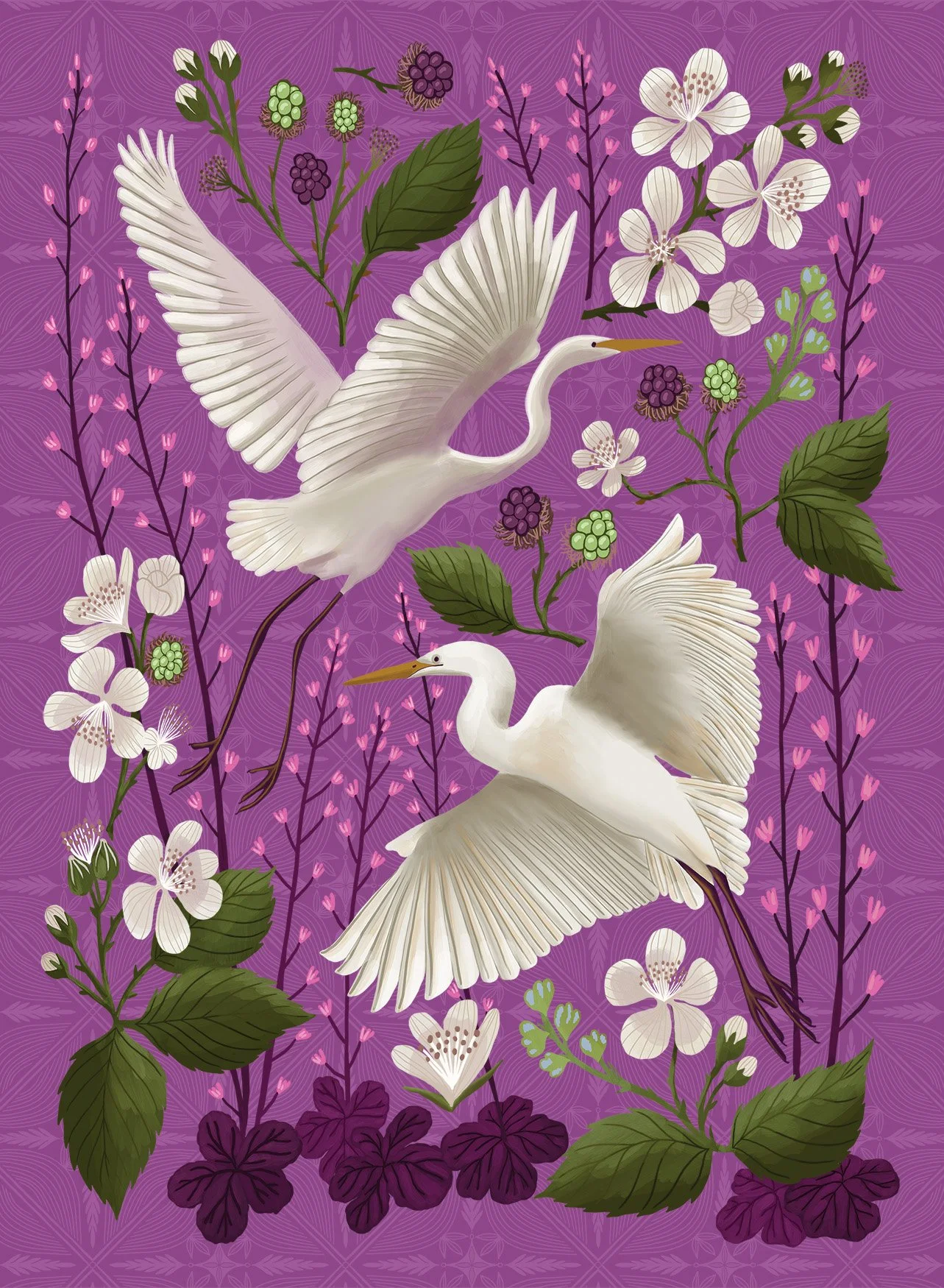 403 Egret & Blackberries
