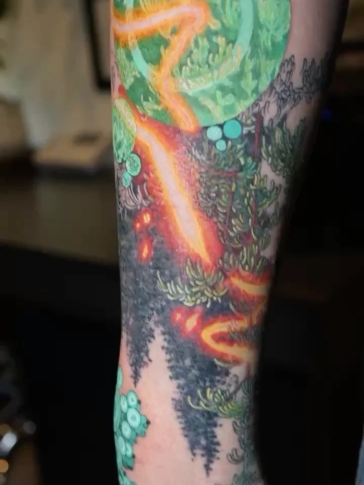 Small portions of an in progress sleeve on Adam. 
@codyeichtattoo