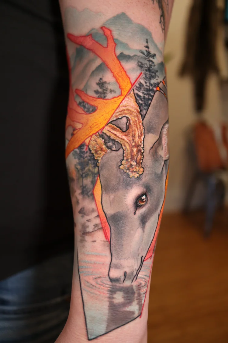 Buck & antlers