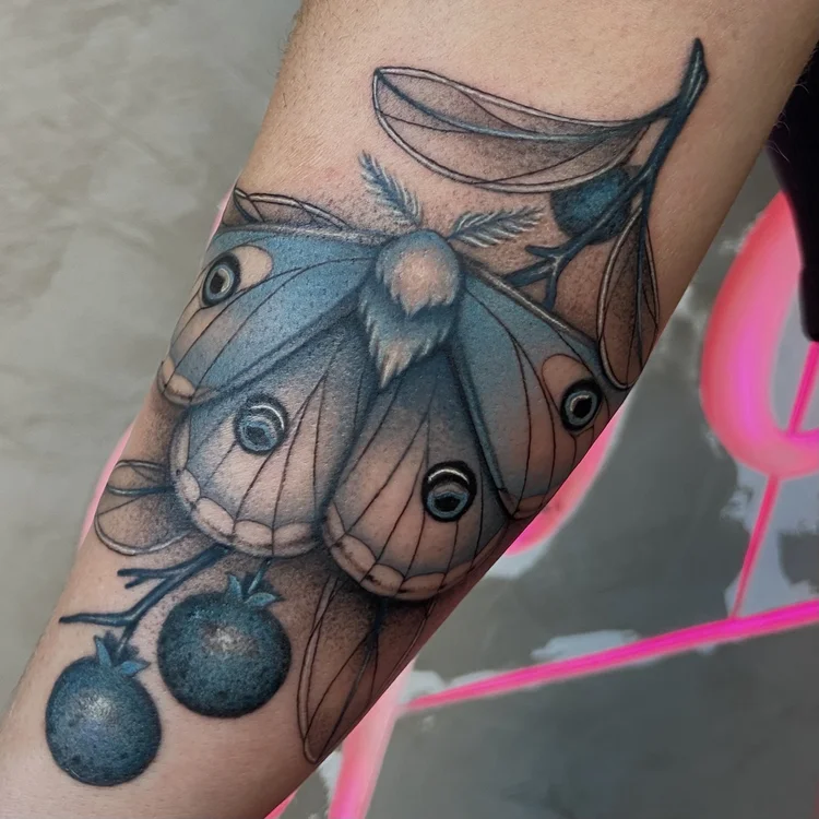 Moth & blueberries