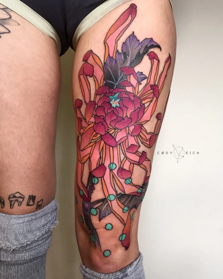 Chrysanthemum