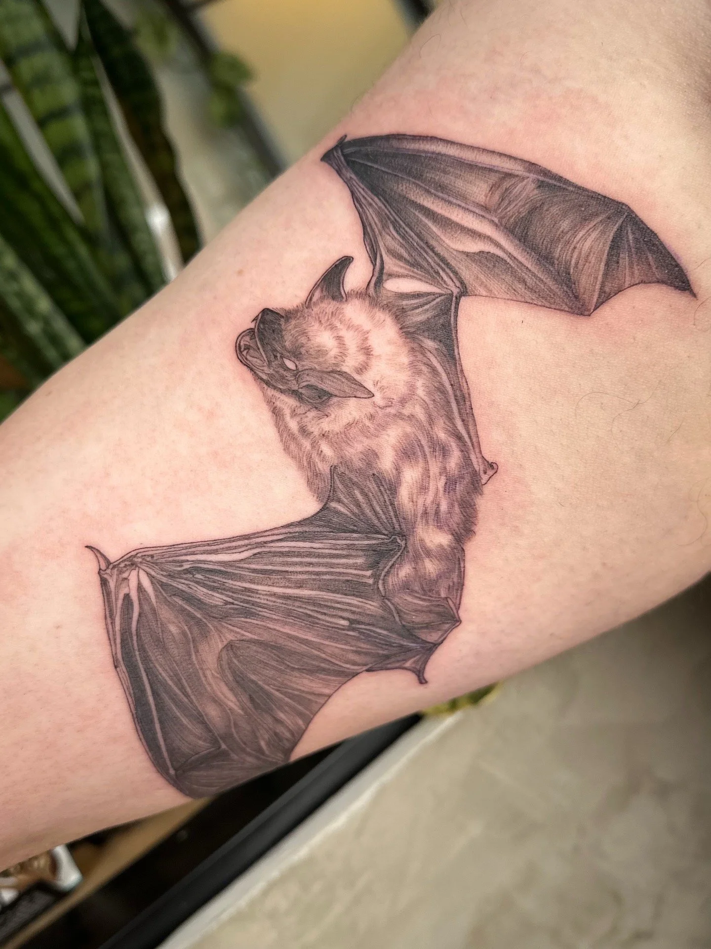 fine line tattoo of a bat