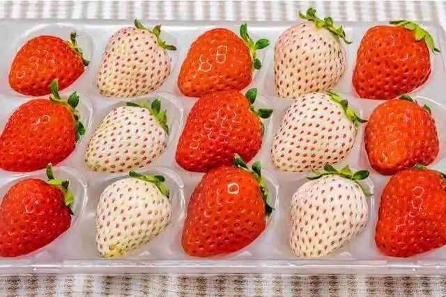 Promotional Image for Oiishi, Strawberry Retailer