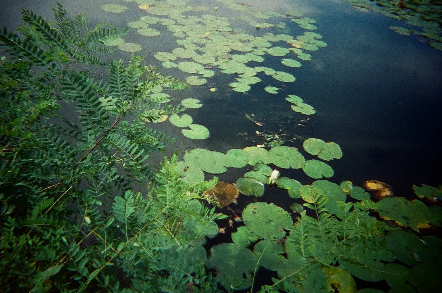 Film from Boston 2022, Denise Gunter