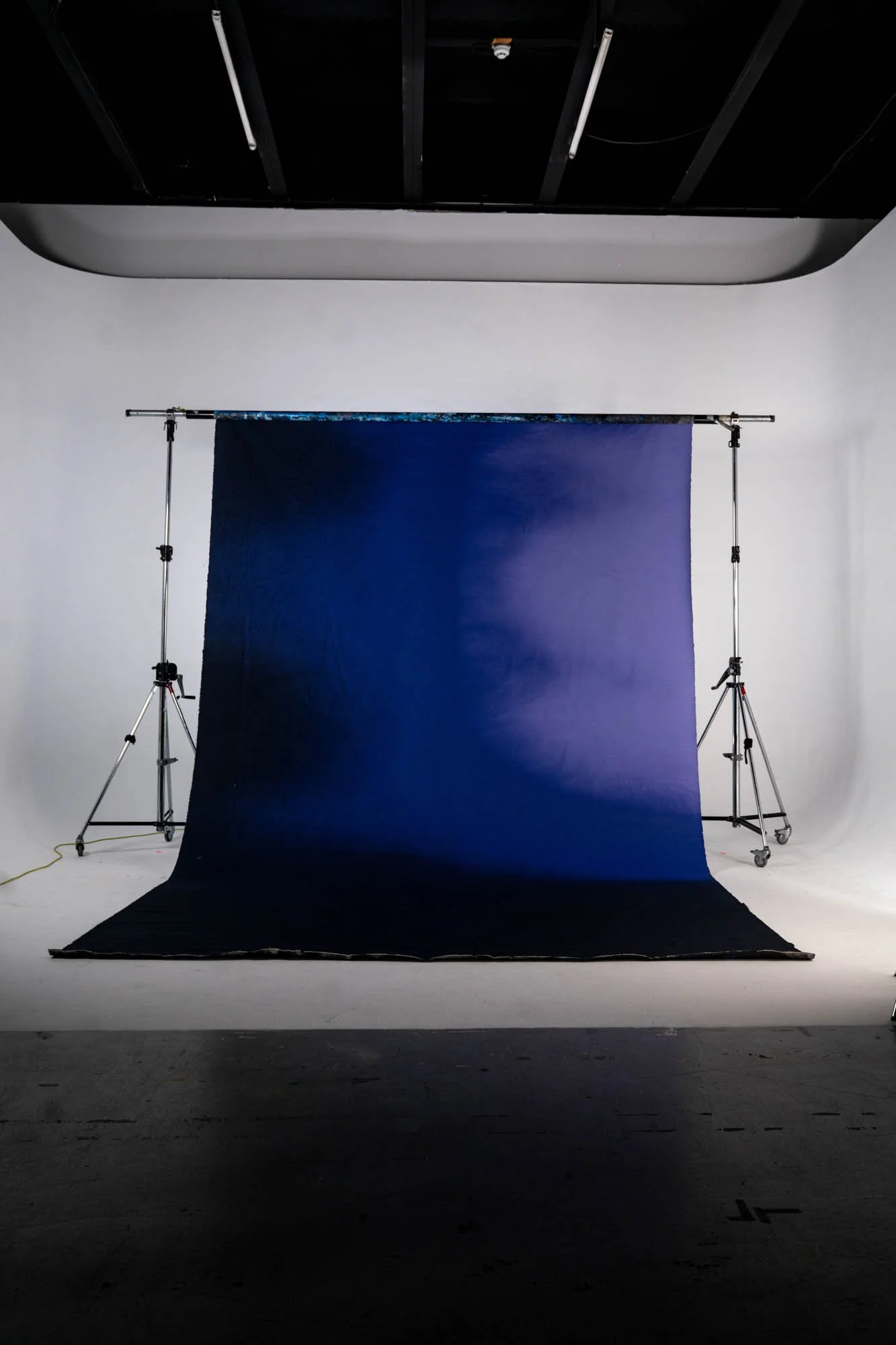 BLACKHURST-VIOLET-1- Social Size.jpg