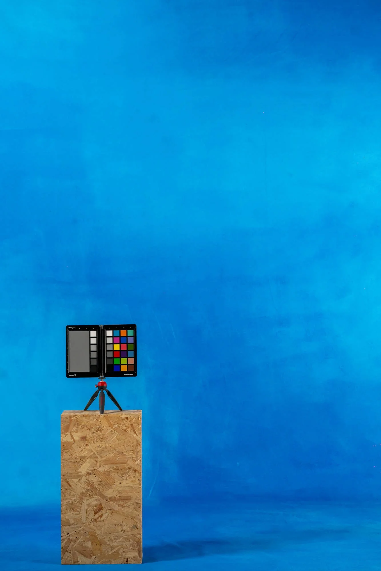 BLACKHURST-JALEN-1- Social Size.jpg