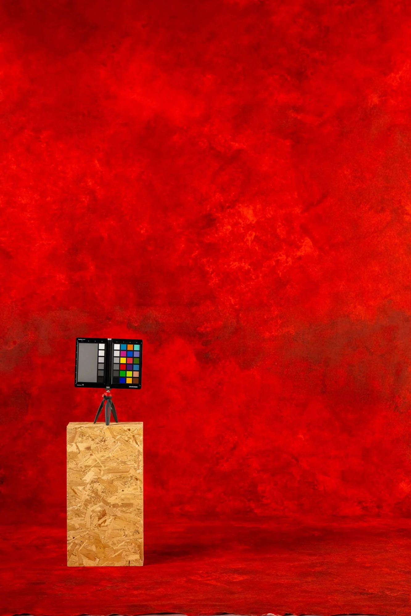 BLACKHURST-ALESSIA-1- Social Size.jpg