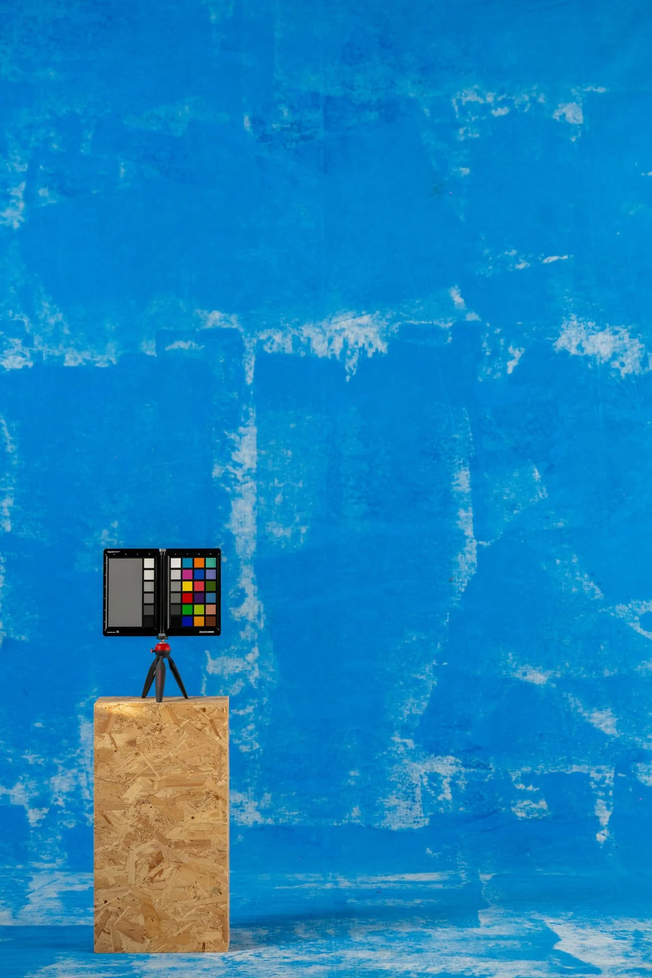 BLACKHURST-ETTA-3- Social Size.jpg