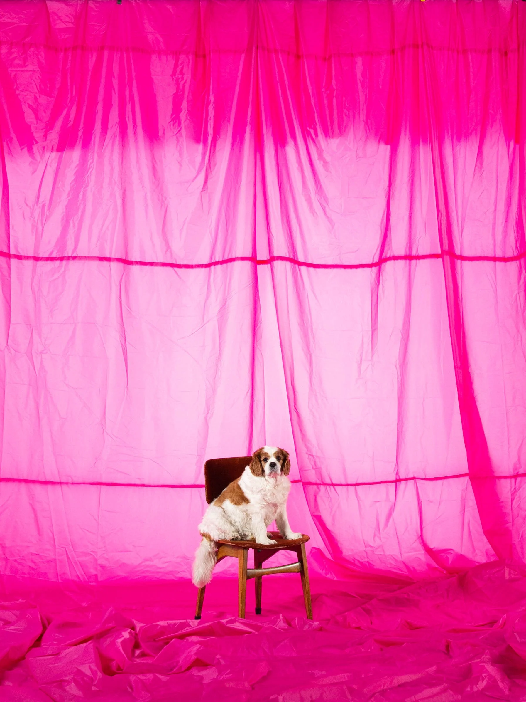 XL PINK PARACHUTE-14.jpg