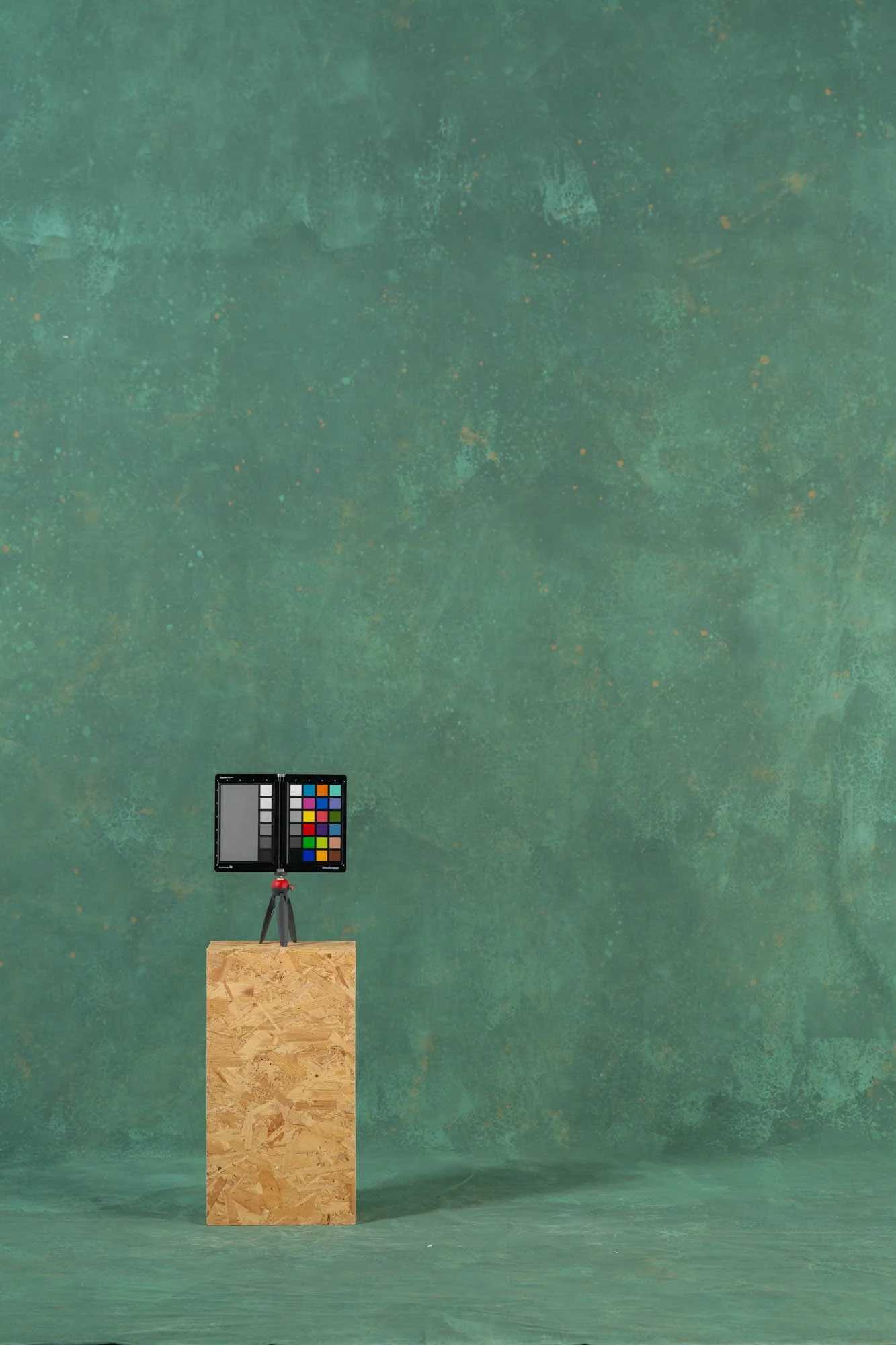 BLACKHURST-BELLA-3- Social Size.jpg