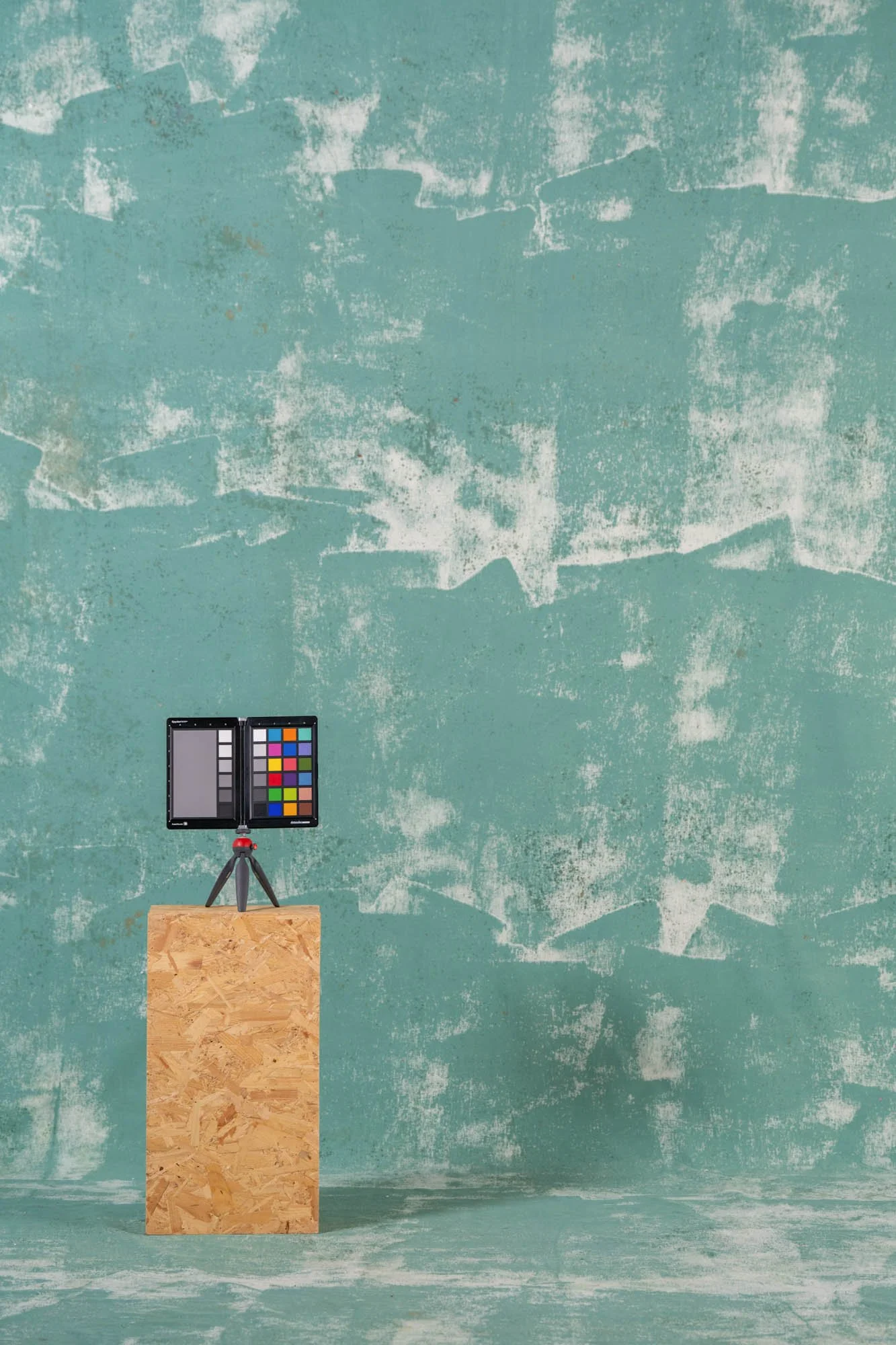 BLACKHURST-BERTIE-3- Social Size.jpg