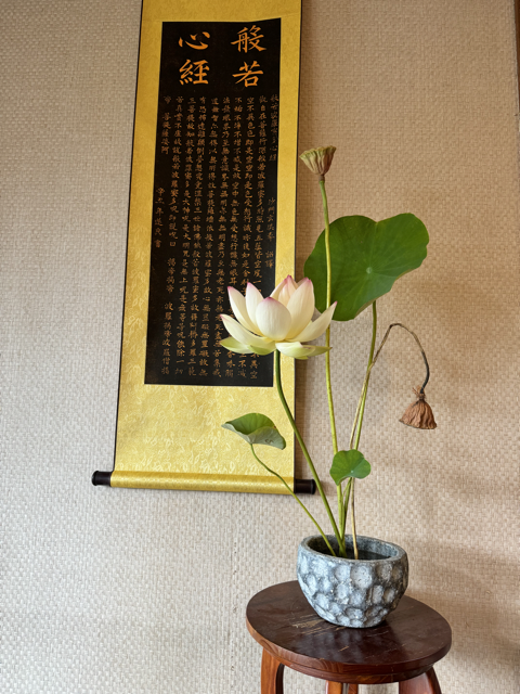 IMG_0776 中.png