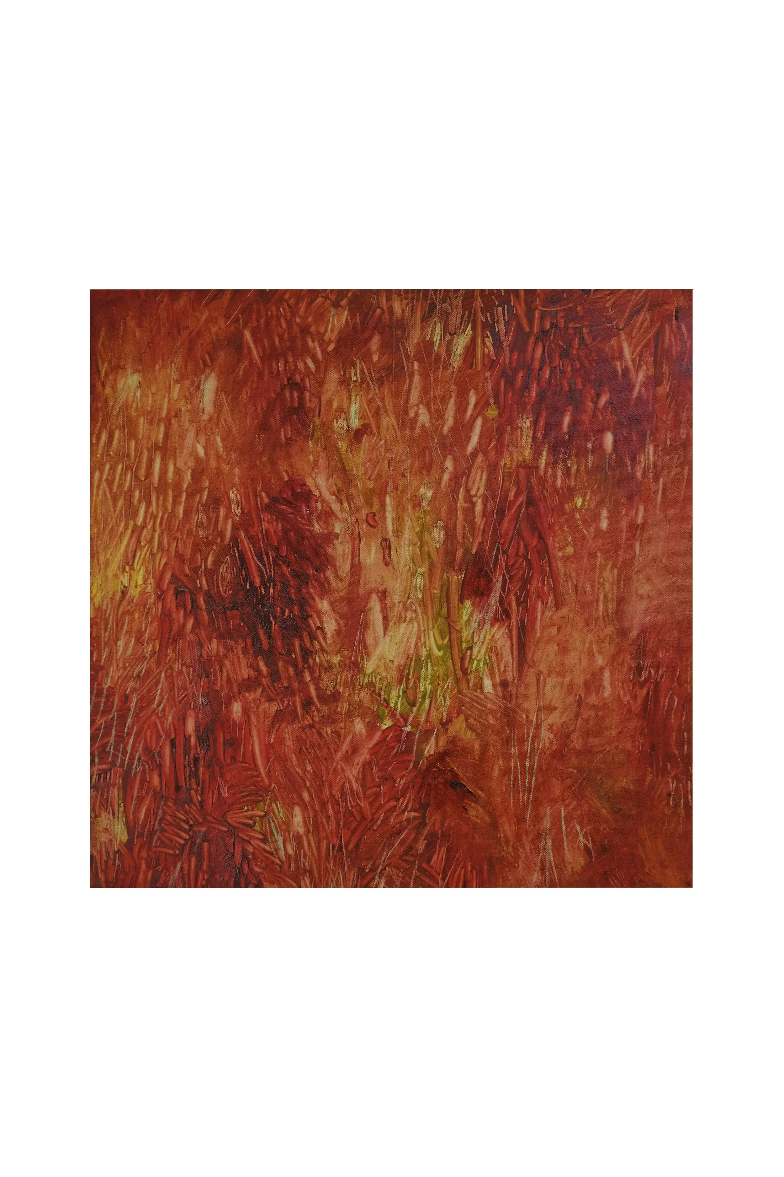 15_DSF2900 18x18inch.jpg