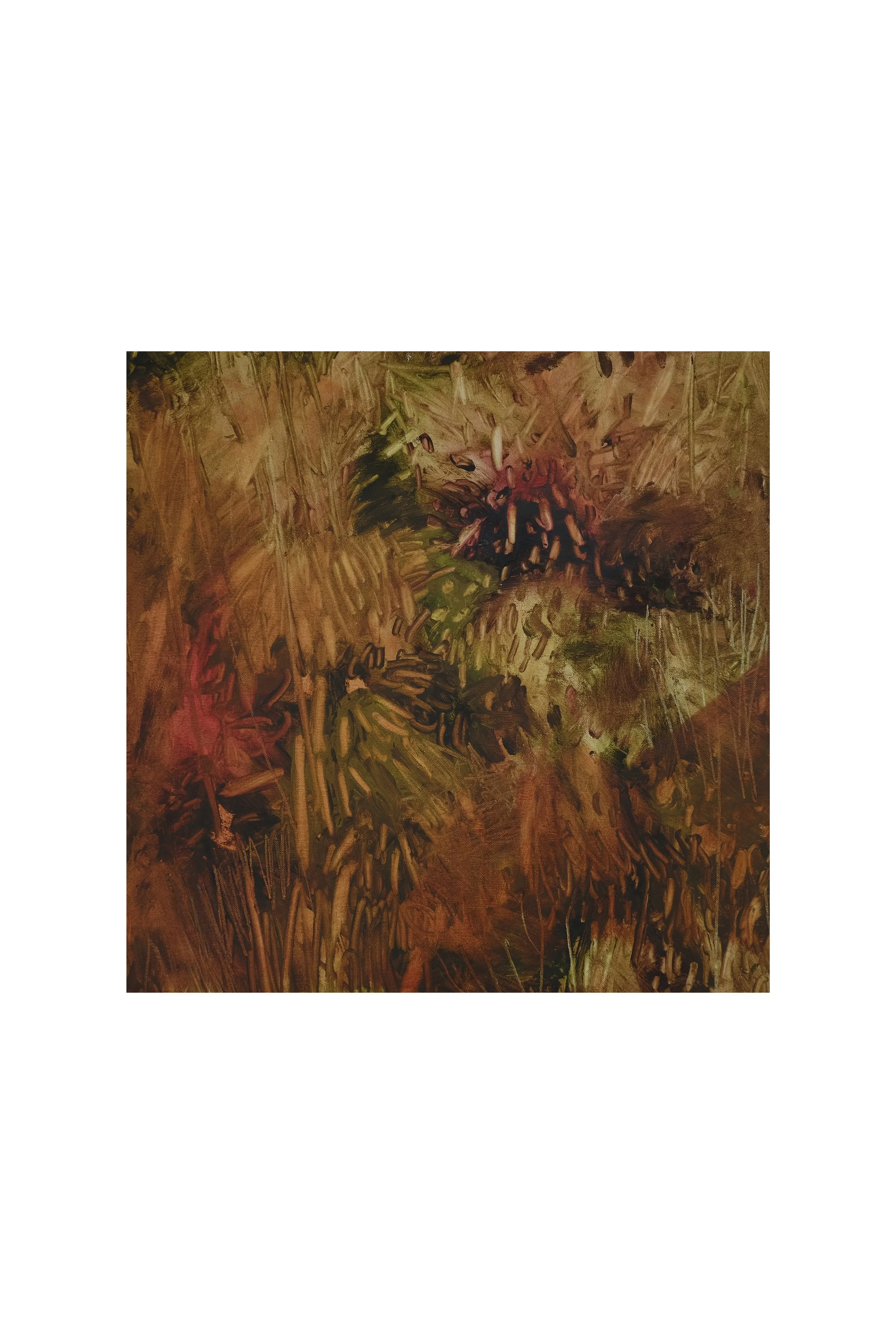 17_DSF2905 18x18inch.jpg