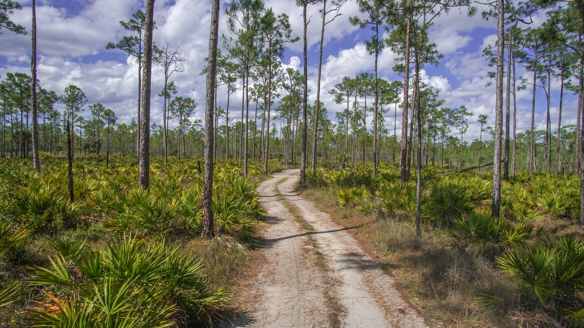 Big Cypress Proposal Could Expand Responsible Off-Road Access
