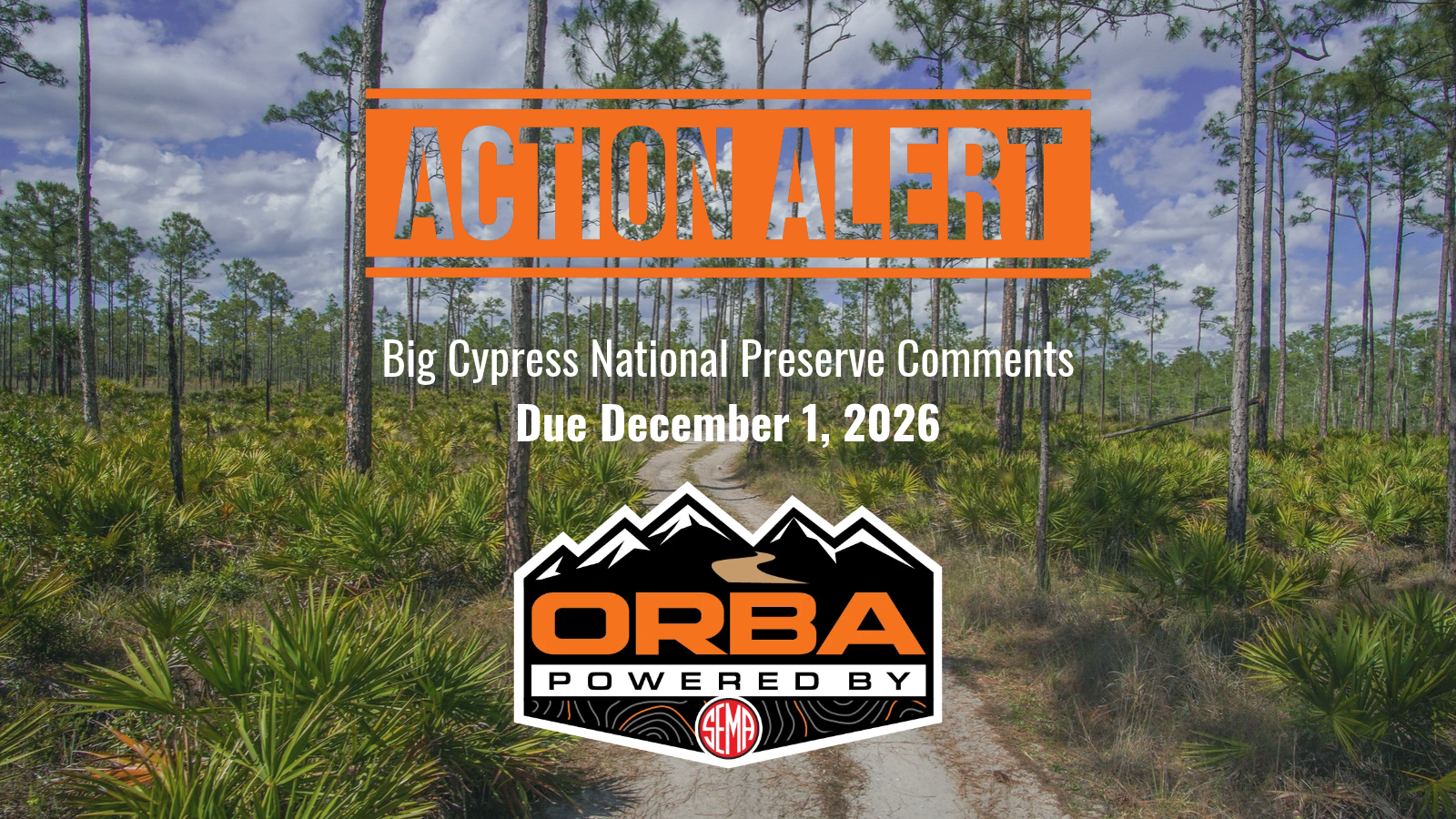 ORBA ACTION ALERT: Support Responsible Off-Road Access at Big Cypress National Preserve