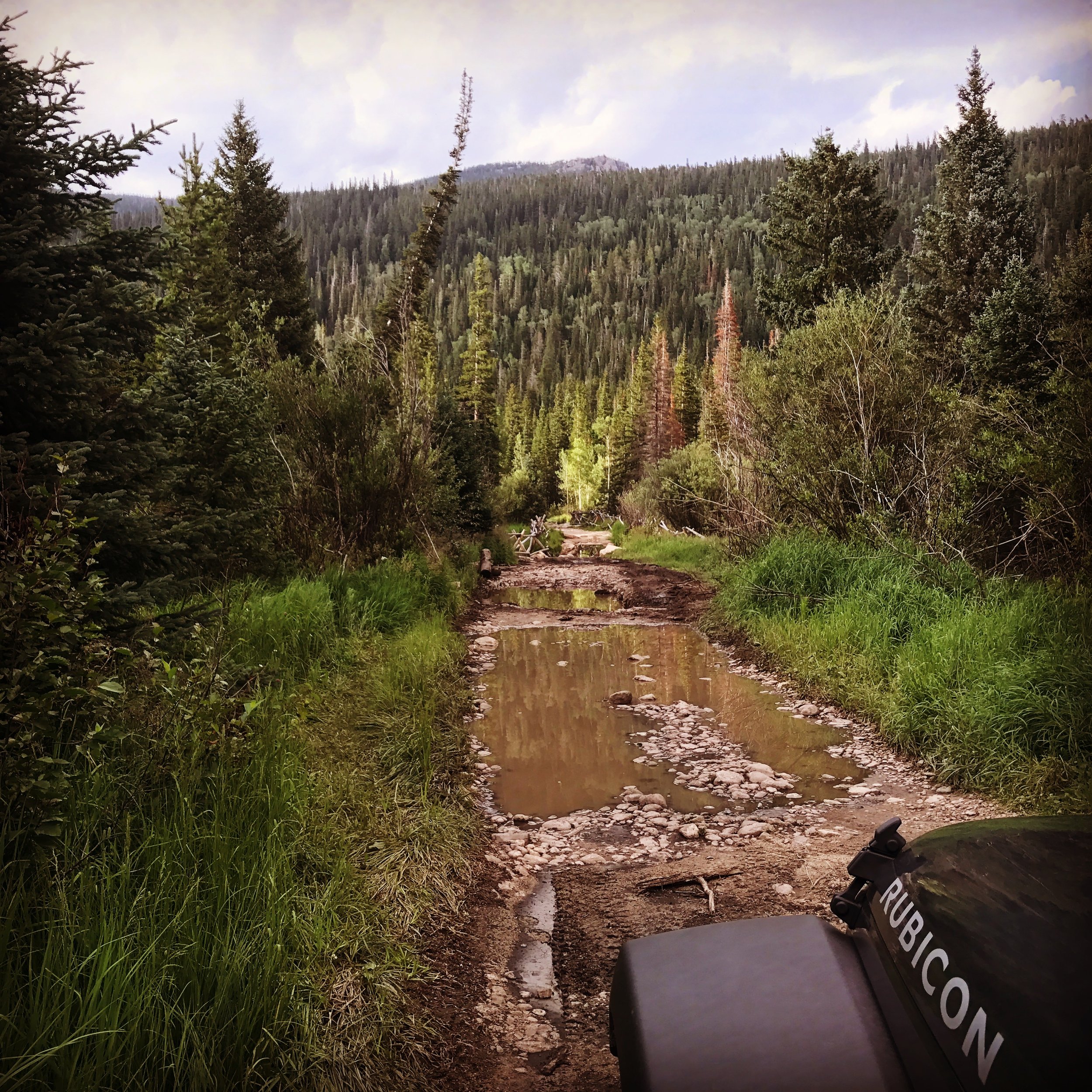 ORBA Statement on Recent Roadless Rule Developments