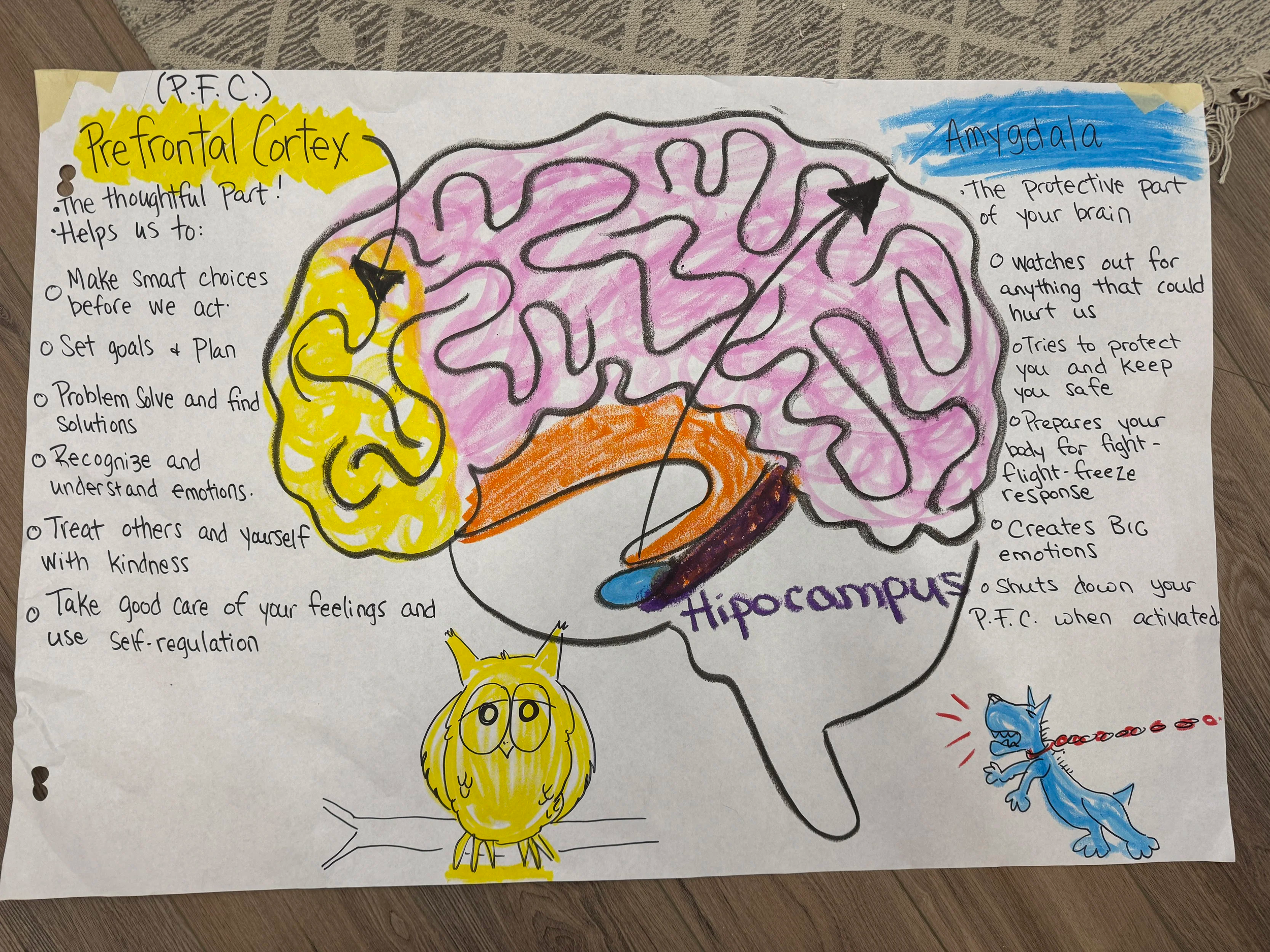 Learning about our Brains