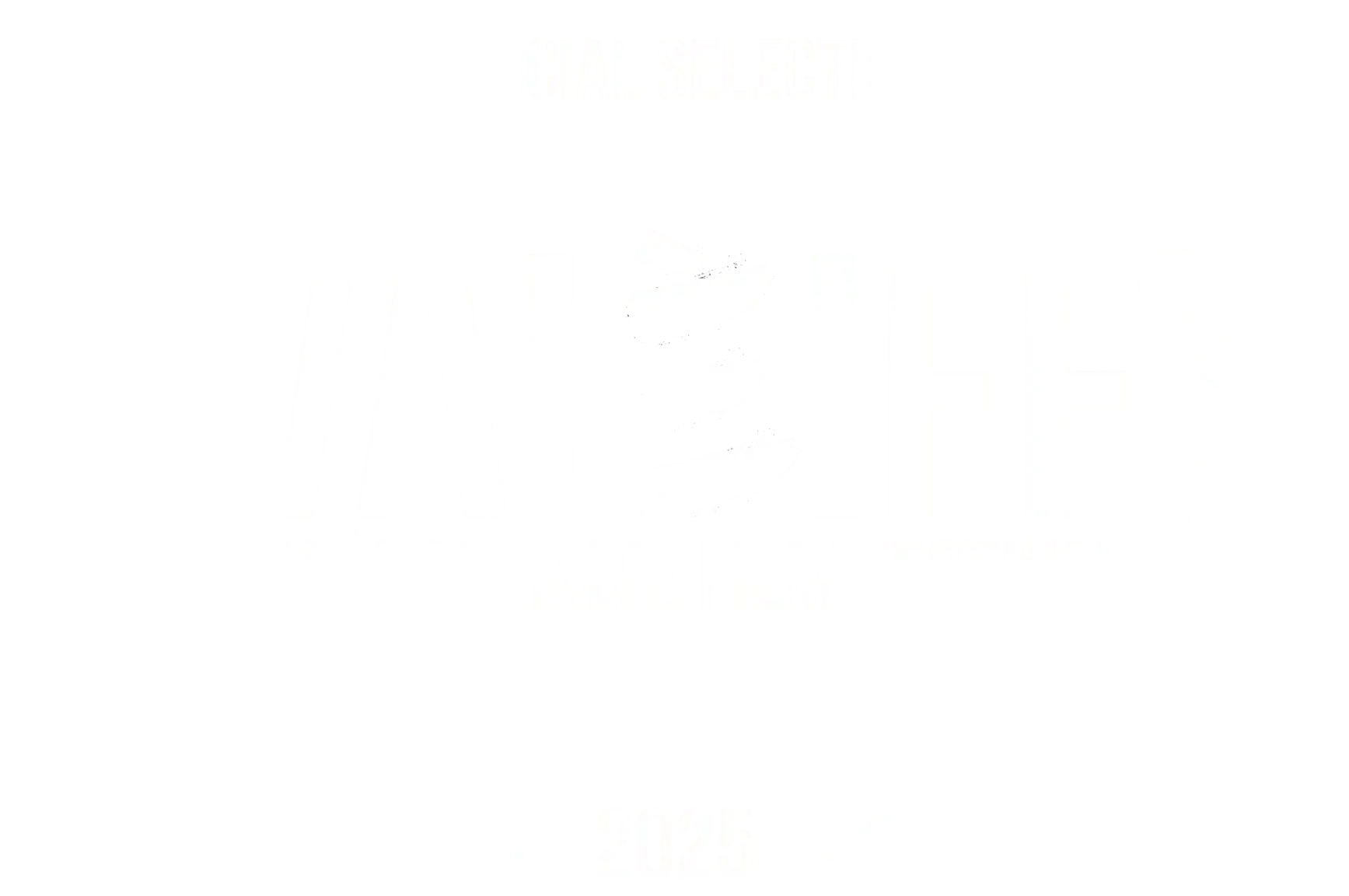VALEIFF-•-Laurels-•-2025-•-Official-Selection-W.webp