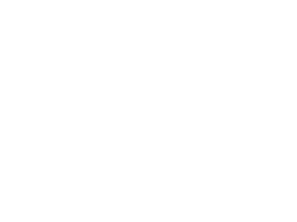 MFF2024_Laurels_Official_Selection_Selection_White.png