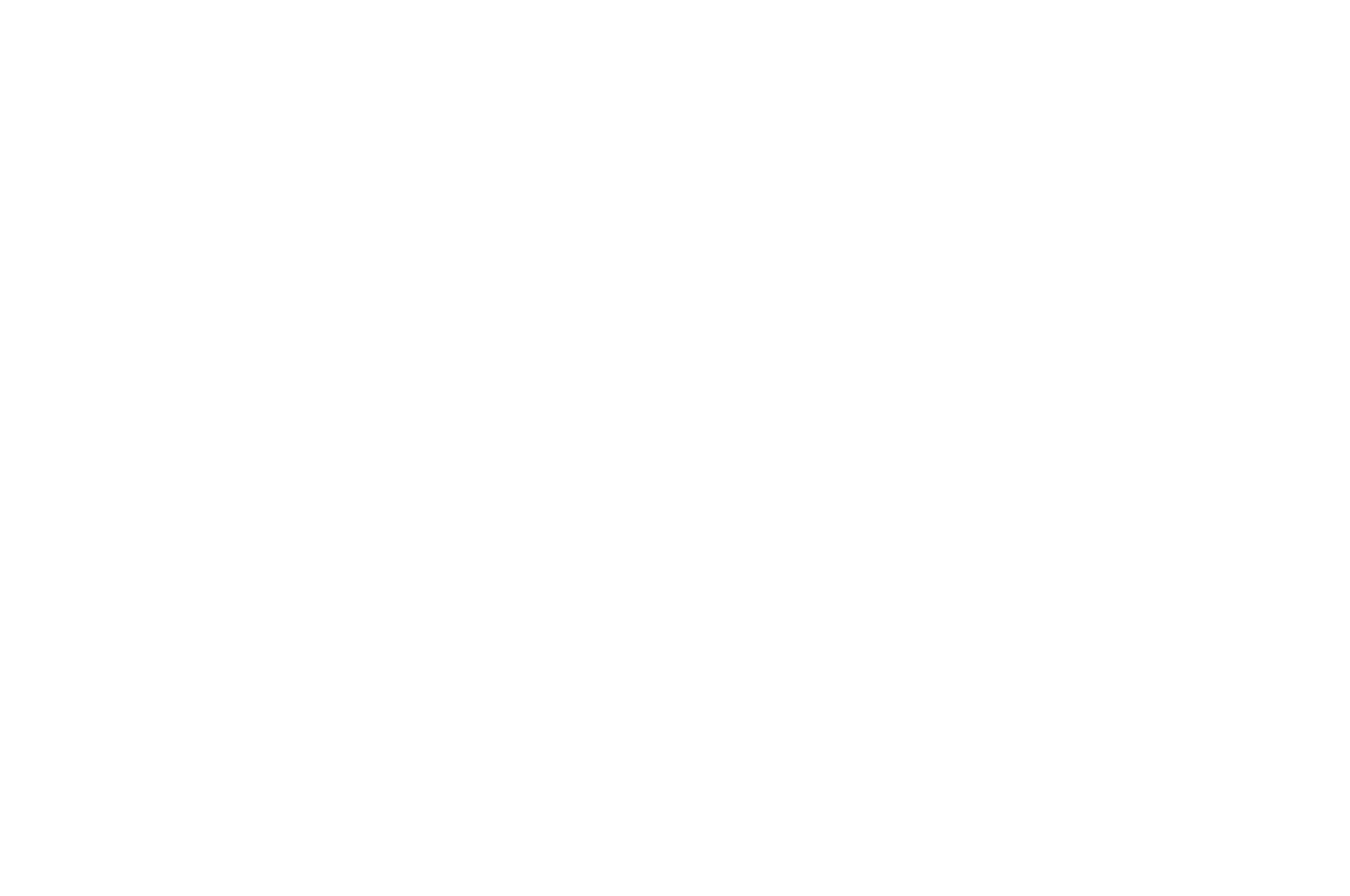 OFFICIAL SELECTION - Cambria Film Festival - 2025 (1).png