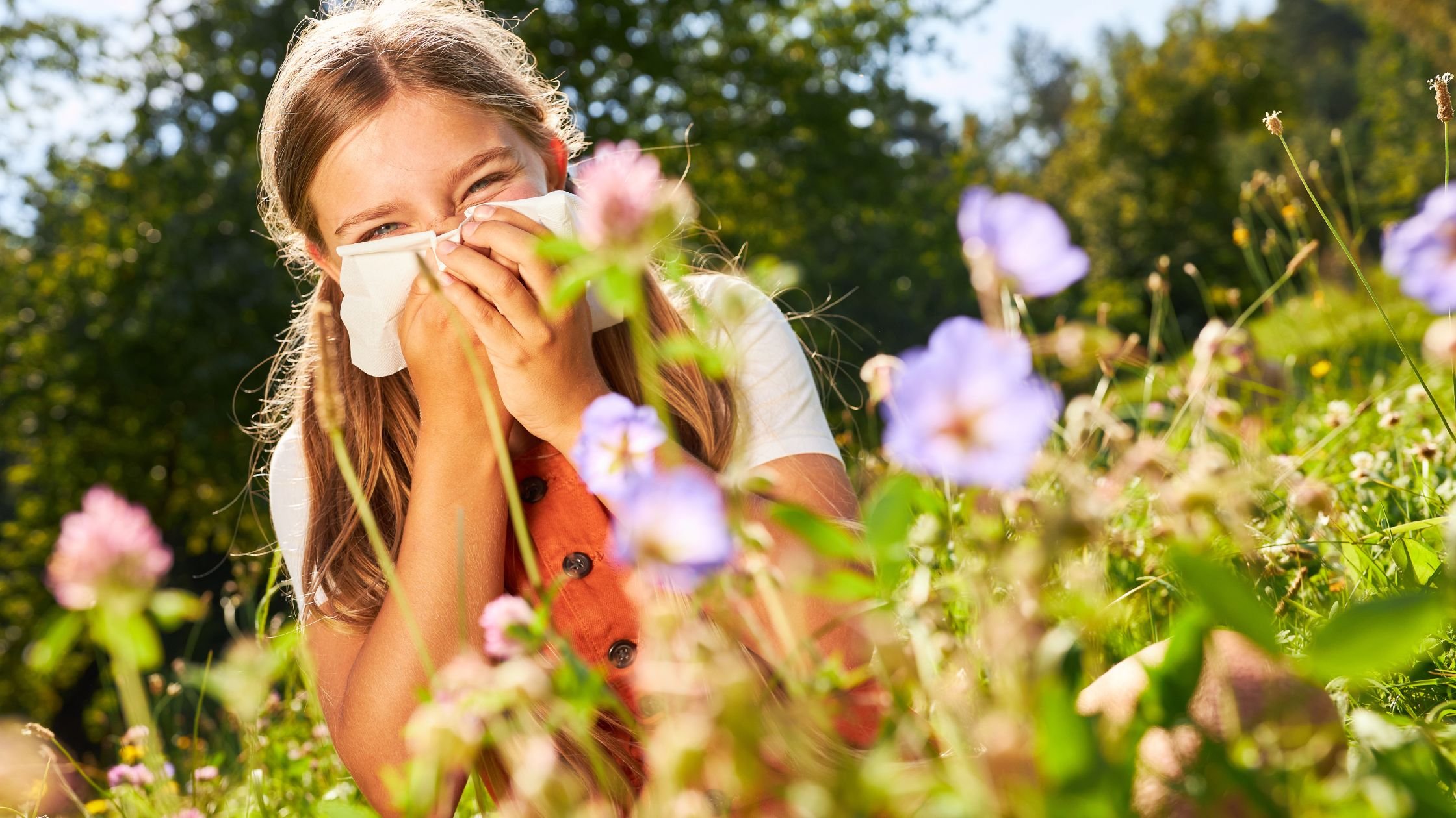 Attack your Allergies! — PurifydSystems