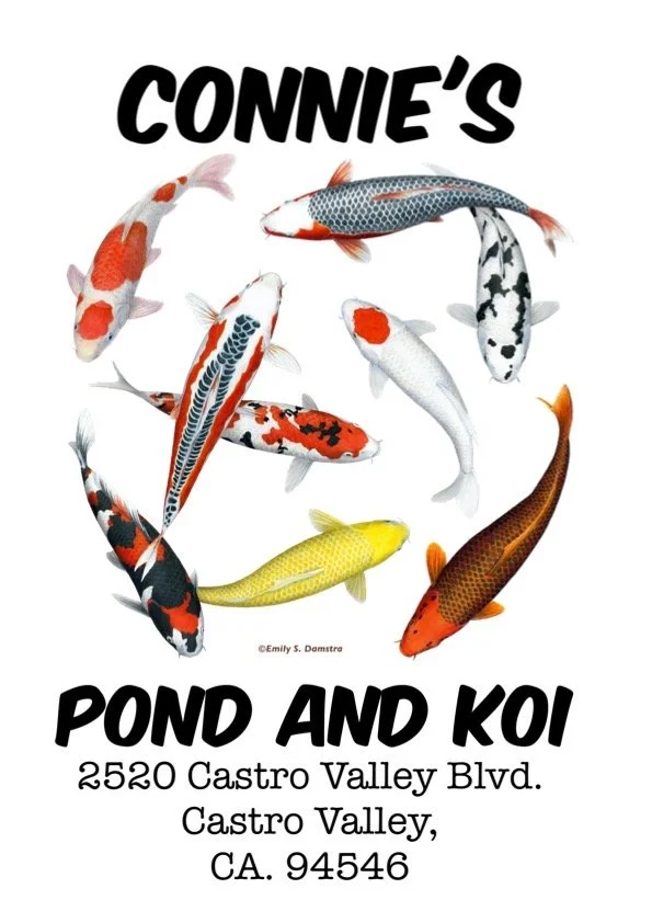 Open on New Years Day!