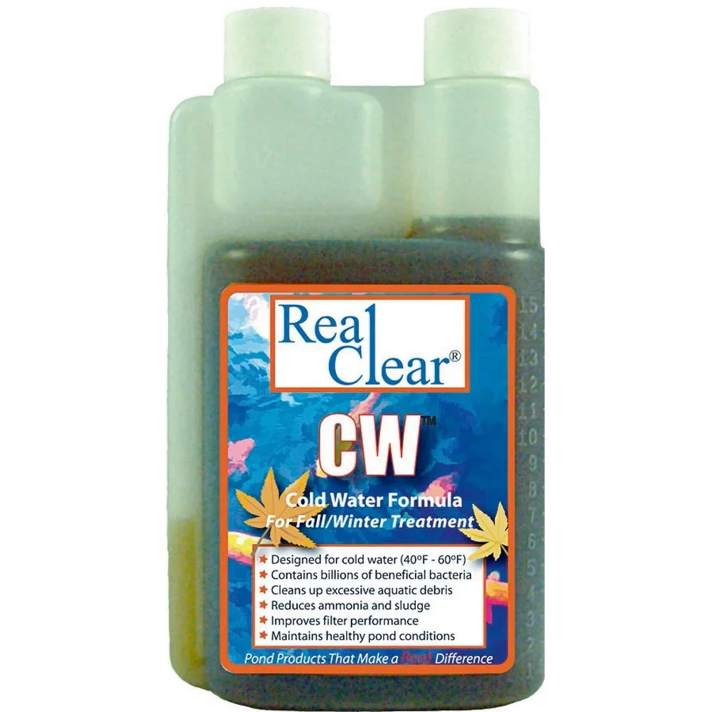 Real Clear Cold Water Bacteria.webp