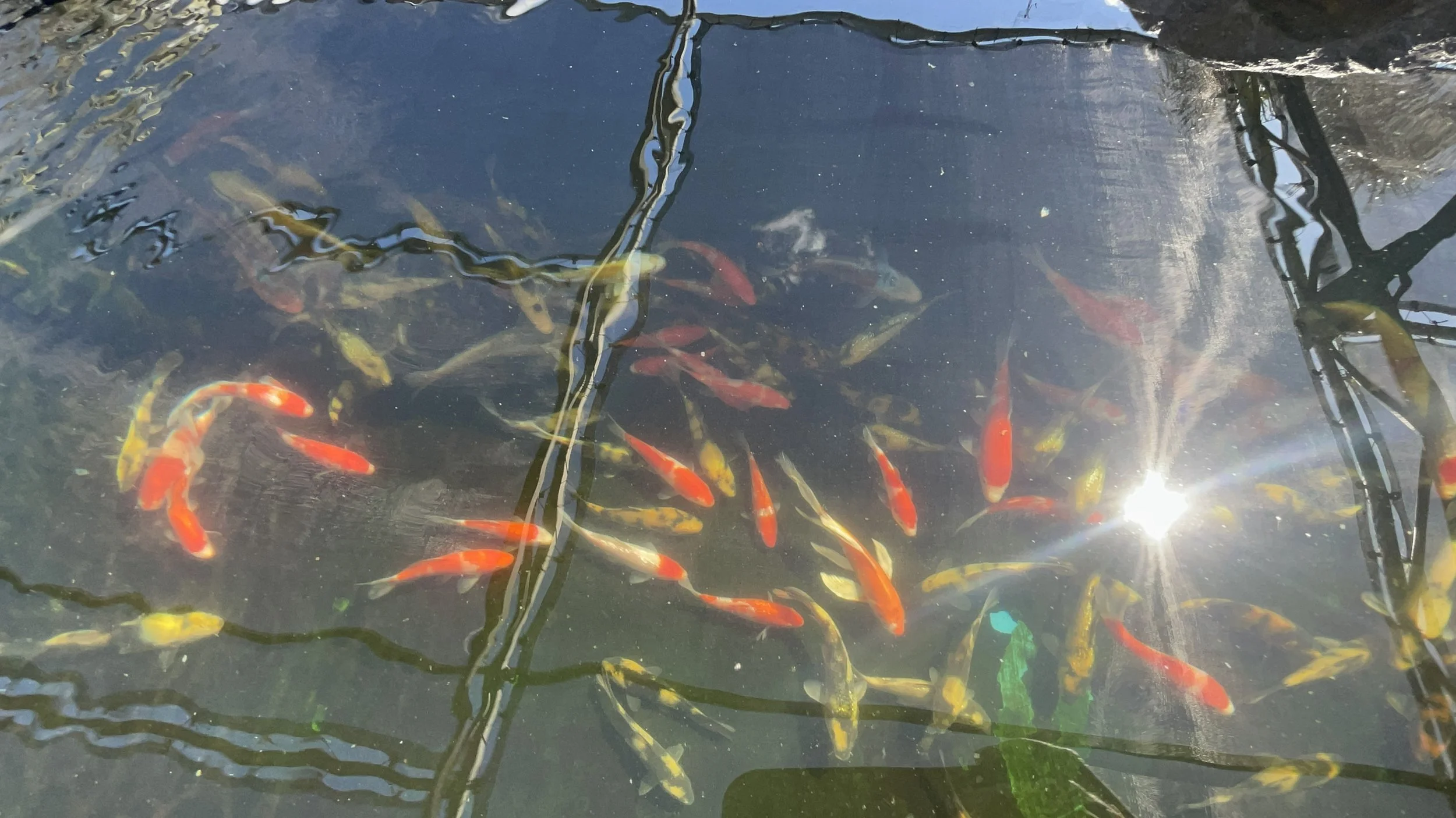 IMG_5360.JPG