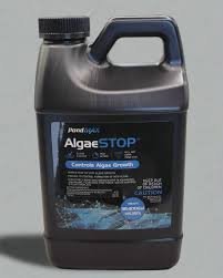 image.jpeg