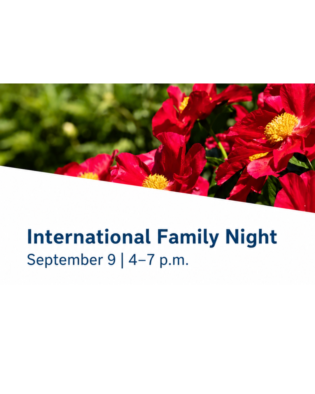 International Family Night