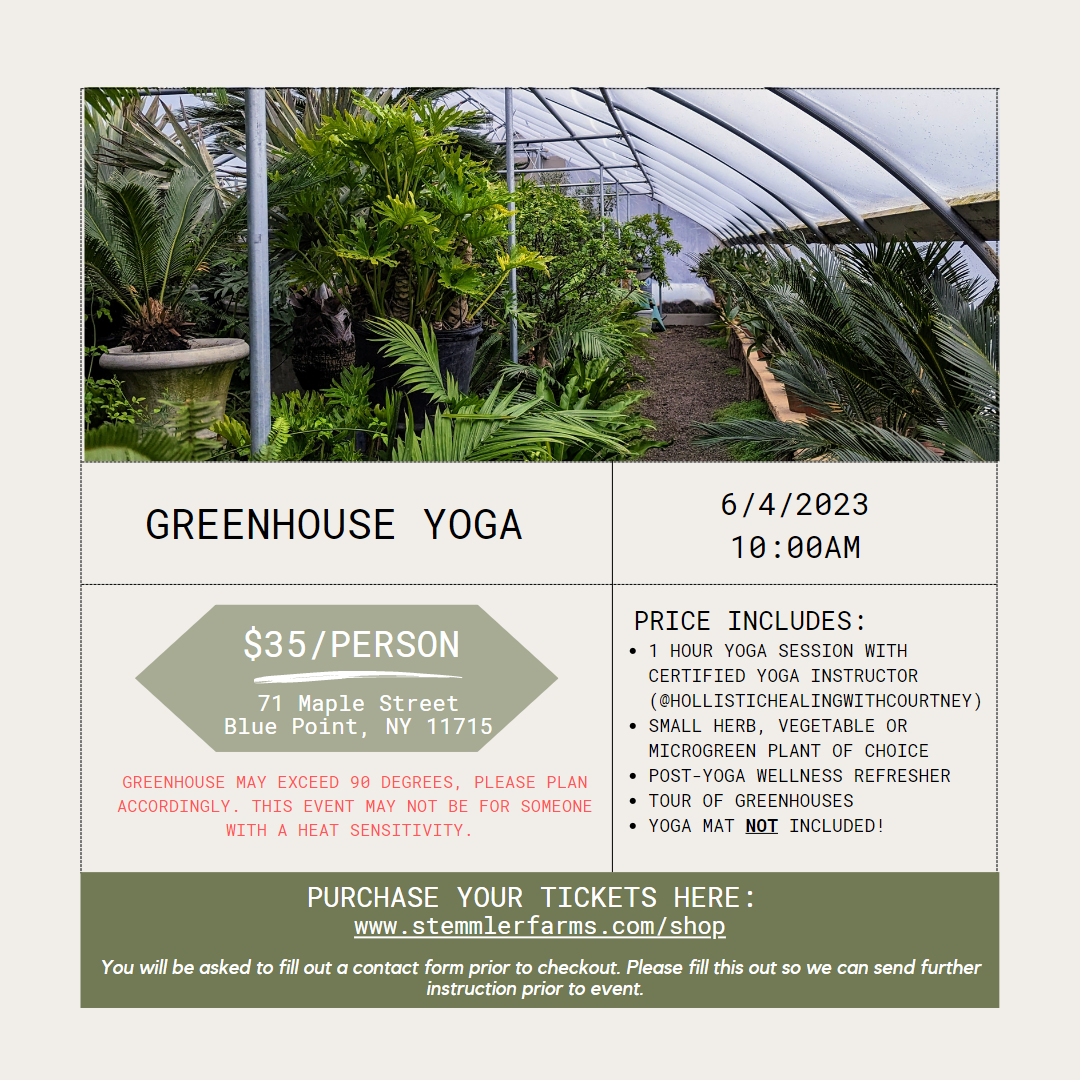 Greenhouse Yoga — Stemmler Farms