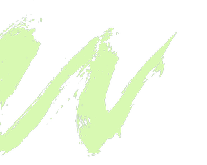 Diva Night — Greater Boerne Chamber of Commerce