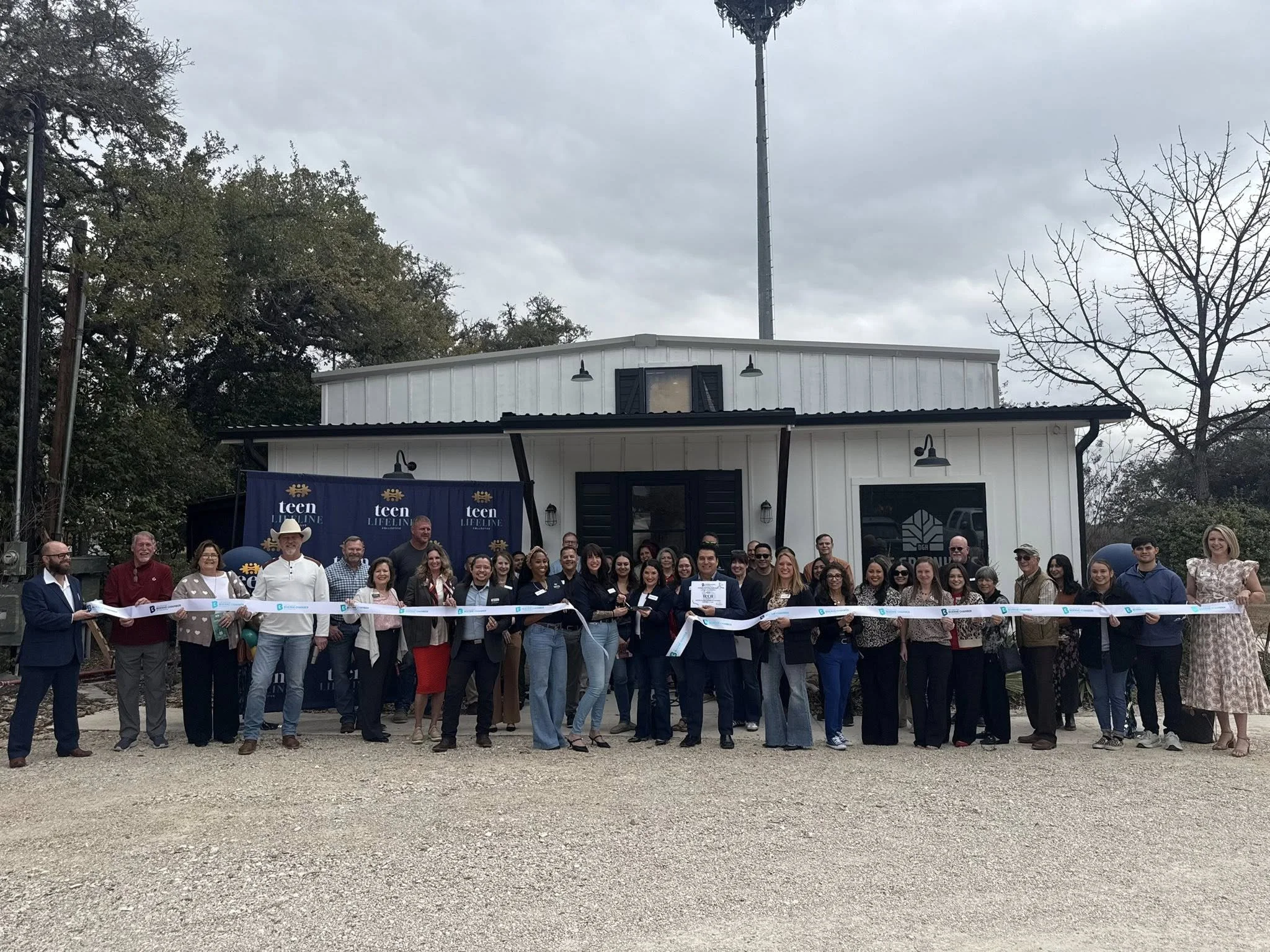 Teen Lifeline Collective 