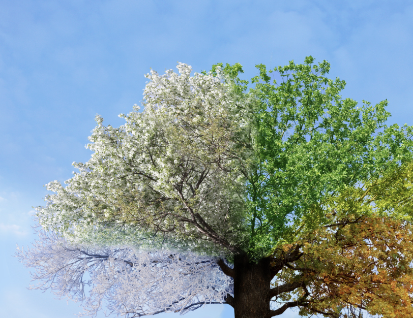 What If This Year Isn’t About Doing More But Trusting Yourself More