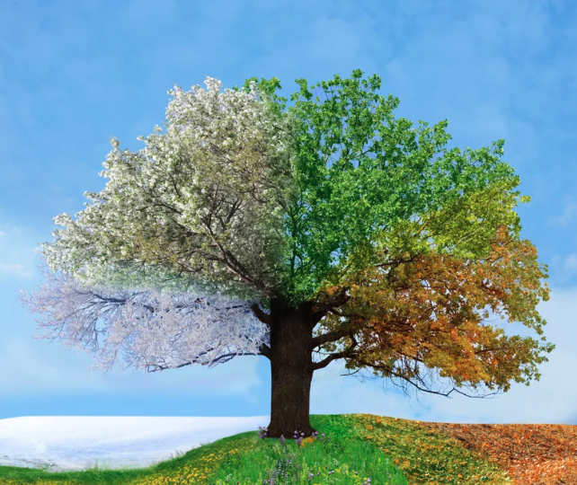 Maybe You’re Not Lazy. Maybe You’re Just in a Different Season.