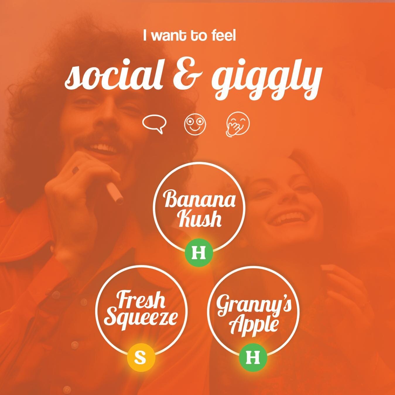 In the mood for a Social Sesh? 
These fun and flavorful strains are the perfect pairing for a good time with friends. 
- #BananaKush
- #FreshSqueeze
- #GrannysApple 

Have you tried any of these strains lately???