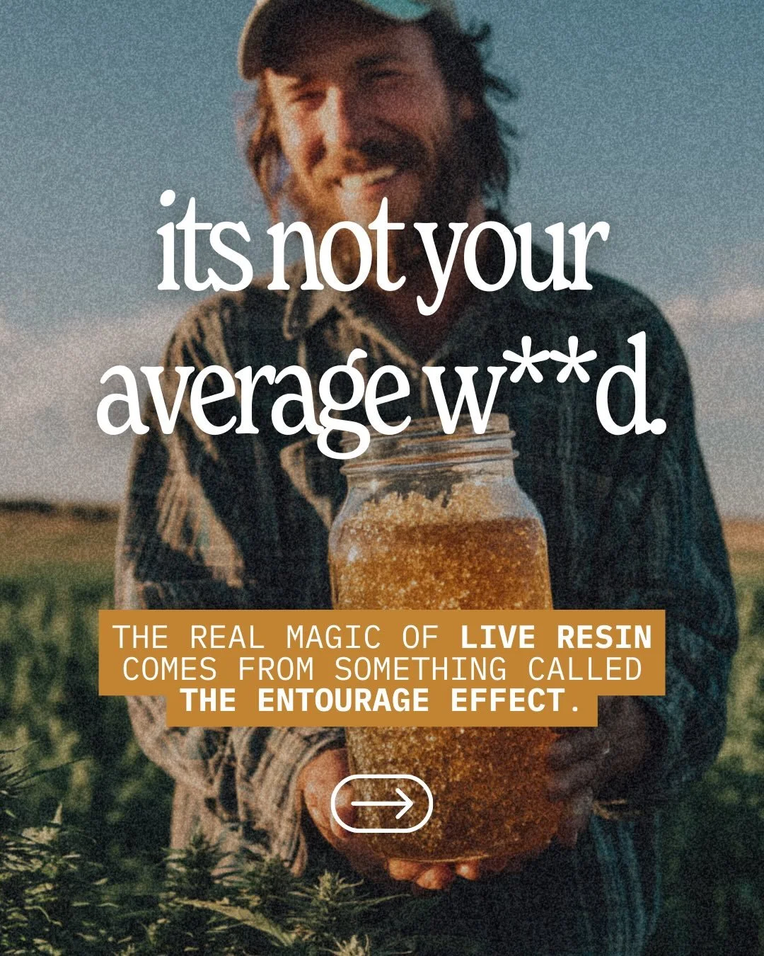 Upgrade your expectations.
Panacea Live Resin delivers richer flavor, stronger aroma, and a more dynamic experience &mdash; straight from the source. ✨🌿