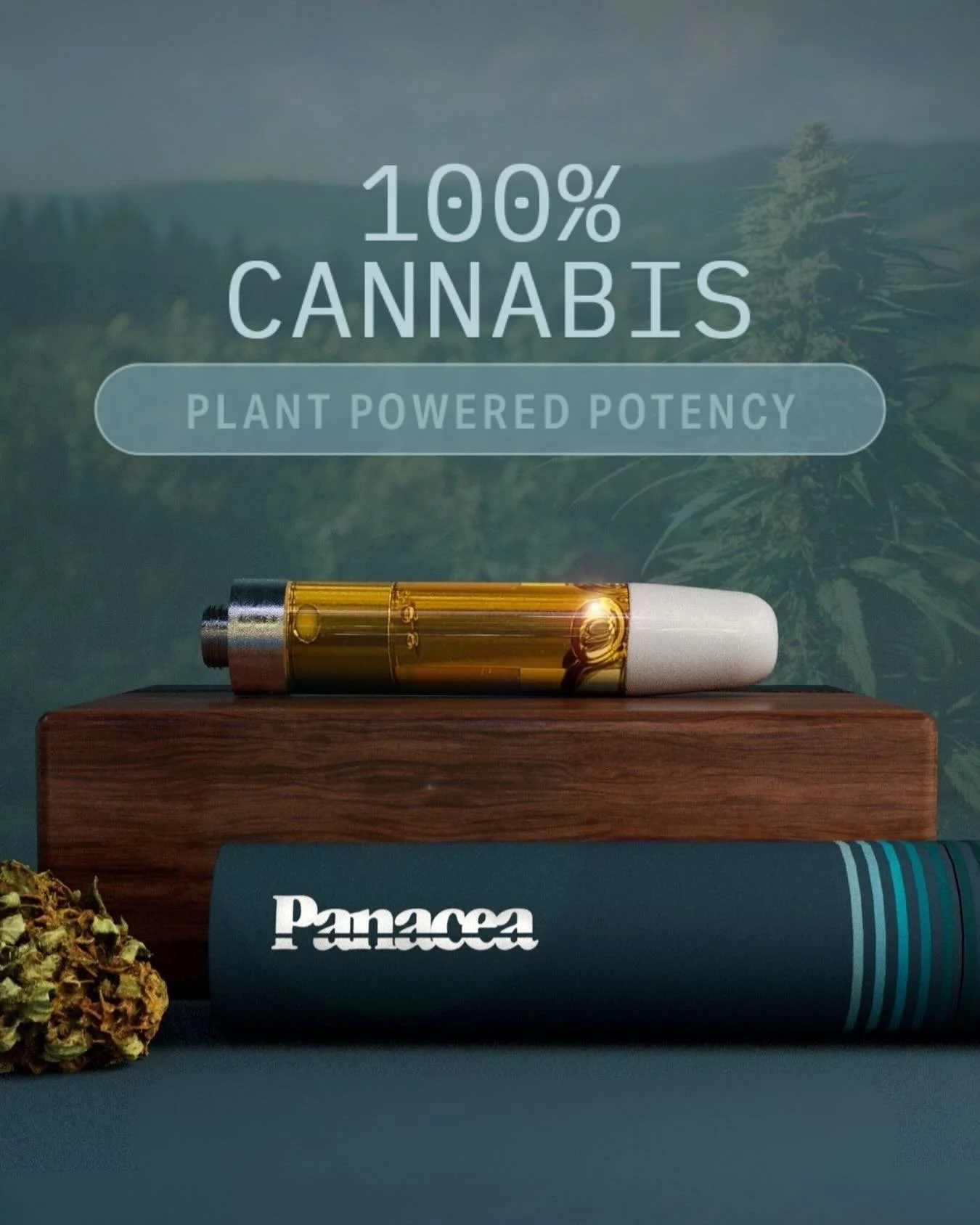 Powered by the plant. Perfected by Panacea.
With our Live Rosin carts you can expect smooth pulls, bold flavor, and potency that feels as natural as it is elevated. 🌿