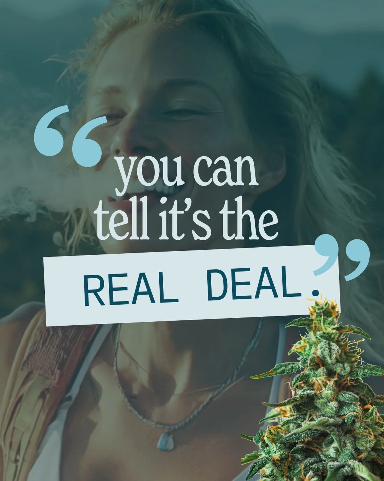 Some products you have to question. Others speak for themselves.
With Panacea, you can tell it&rsquo;s the real deal the moment you take that first puff. Rich flavor, smooth hits, and terpene-packed goodness that lets the plant shine.