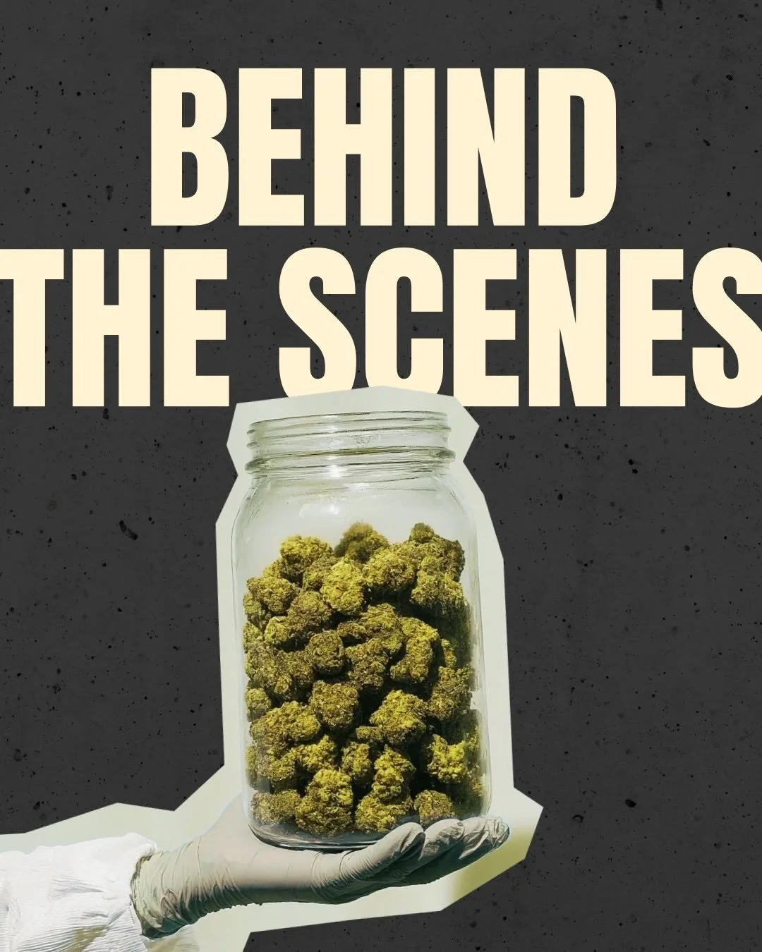 Ever wonder how it&rsquo;s all made?
Welcome to our Oil Lab&mdash;where precision, passion, and people come together to make every batch count. 
Get to know the lab behind the oil. #bts