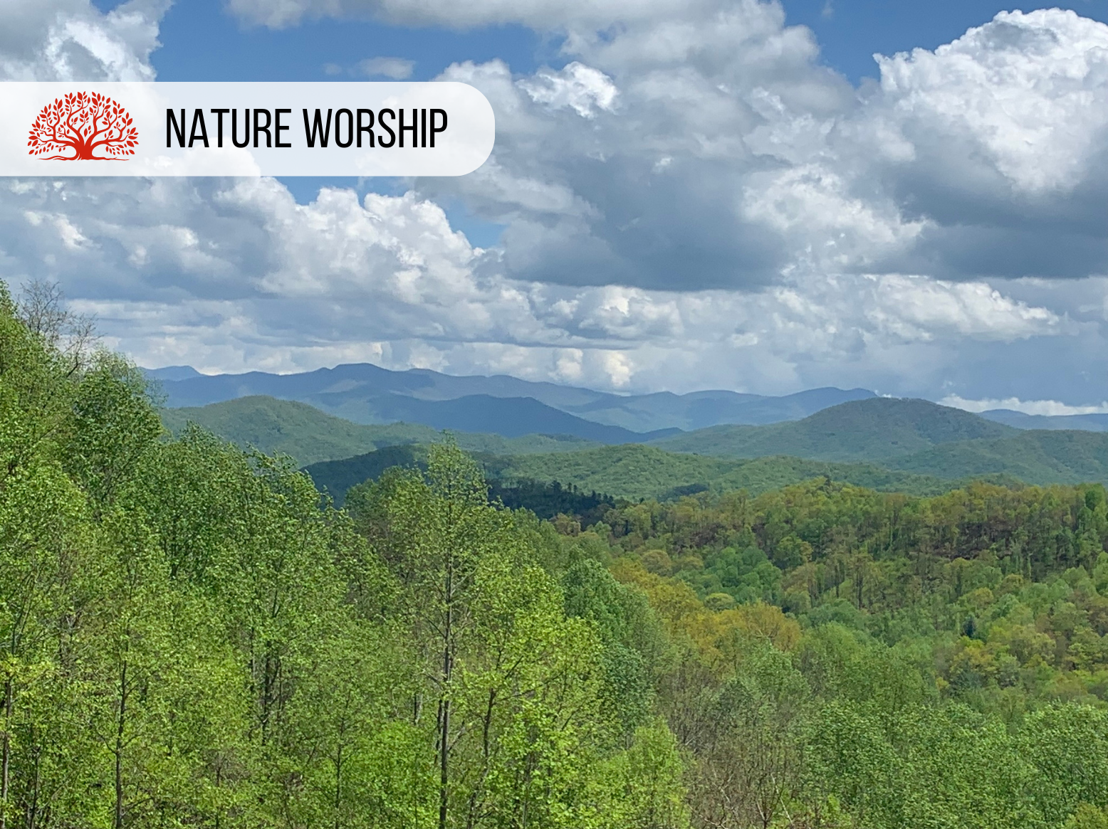 The art of being in nature