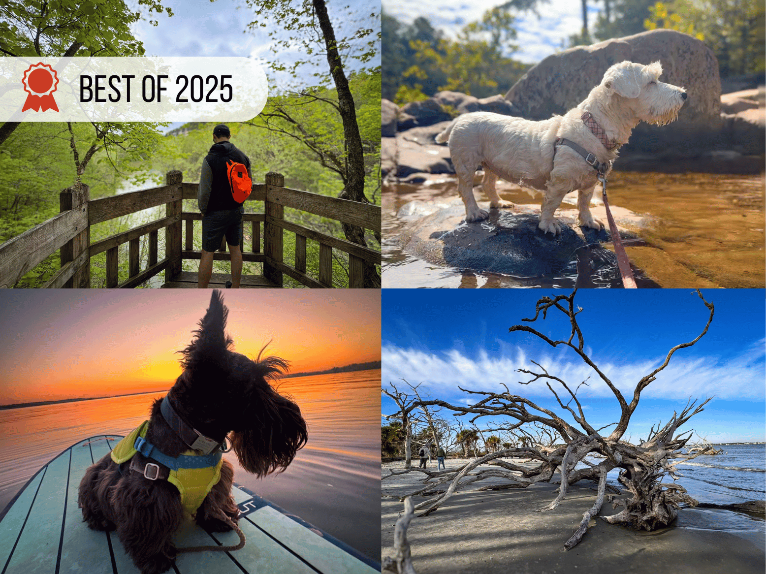 Best of 2025: Another Super Cool year of camper van fun