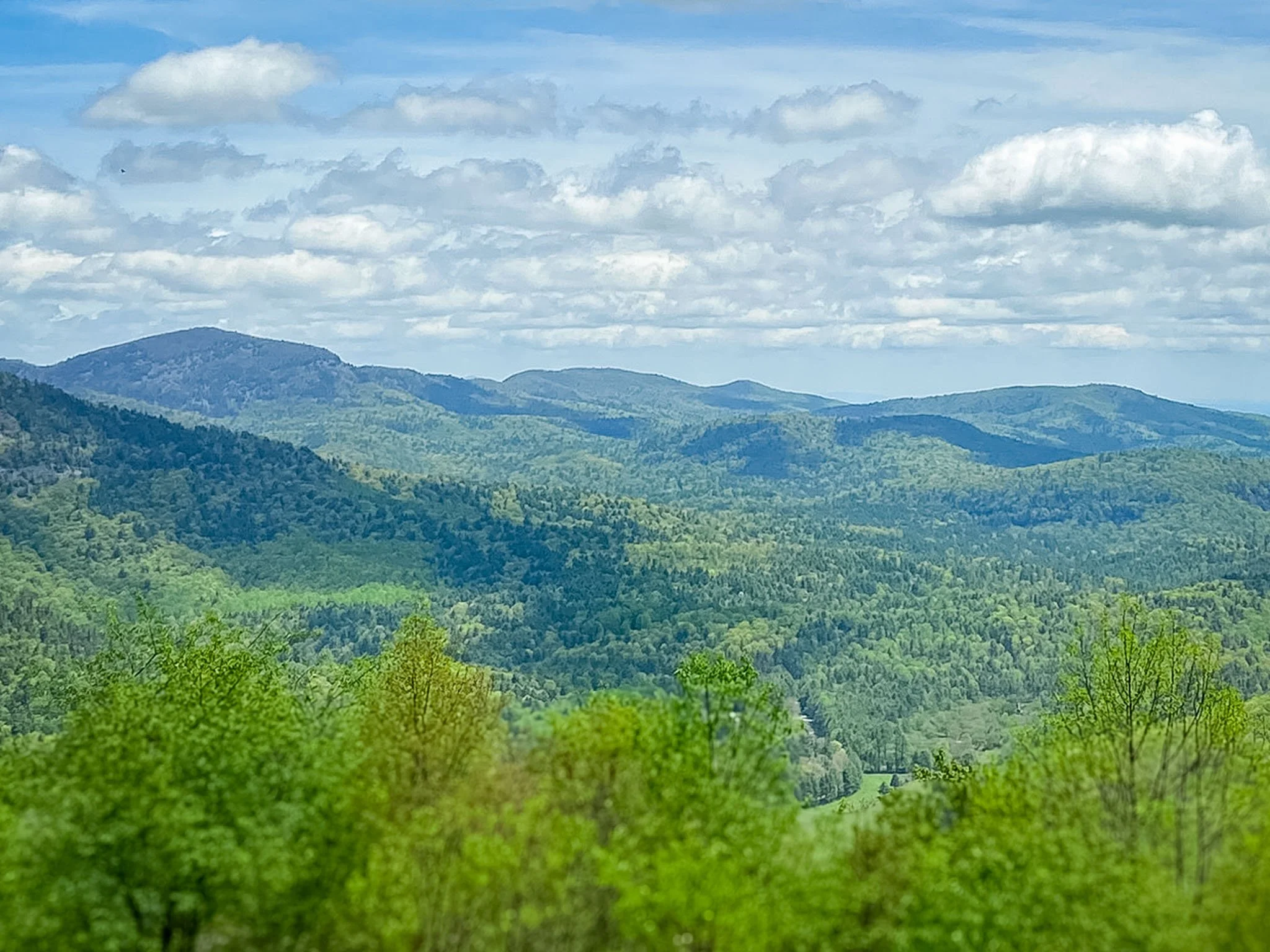 The view from Sunrise Rock in Highlands, North Carolina shows a tree-covered valley reaching to the Blue Ridge Mountains in the background.