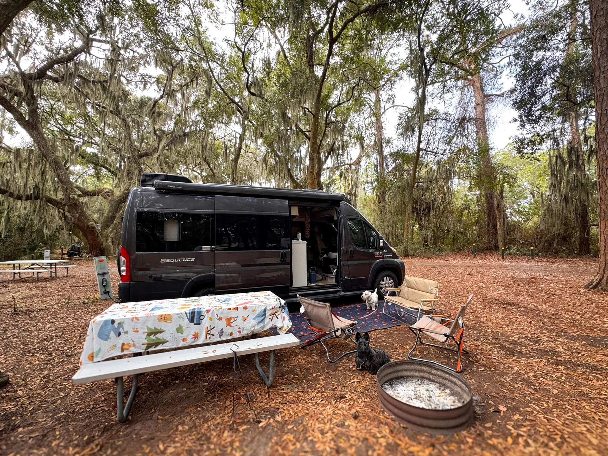 Spanish moss-draped trees tower over a camper van at Jekyll Island State Park in Georgia.