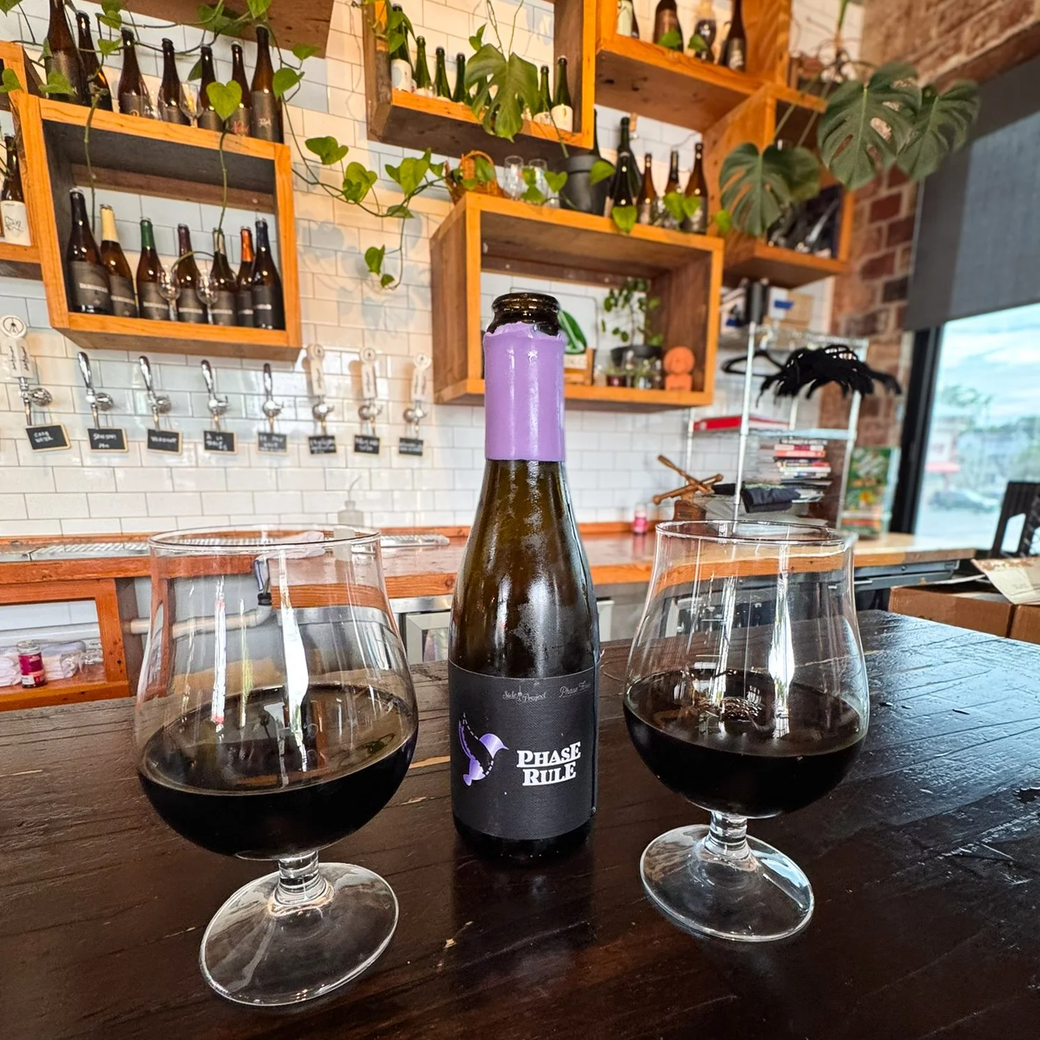 Bottle of Phase Rule 2023 imperial stout, a Side Project and Phase Three Brewing collaboration, with two glasses of the dark beer poured beside it.